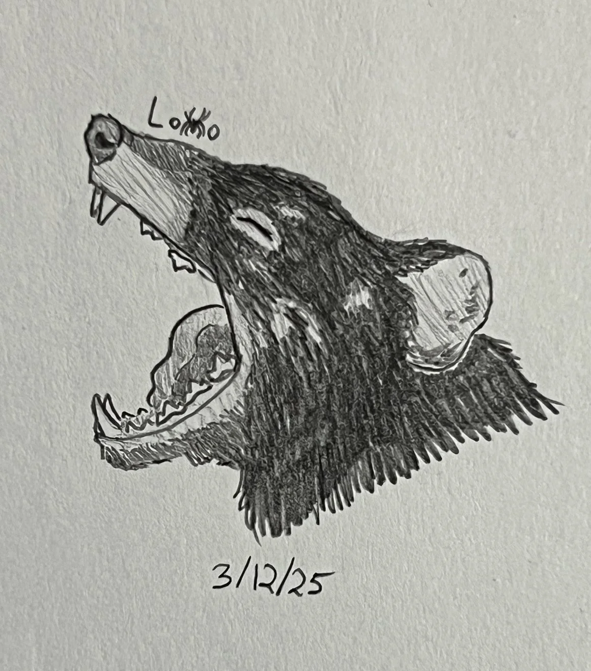 Tasmanian devil