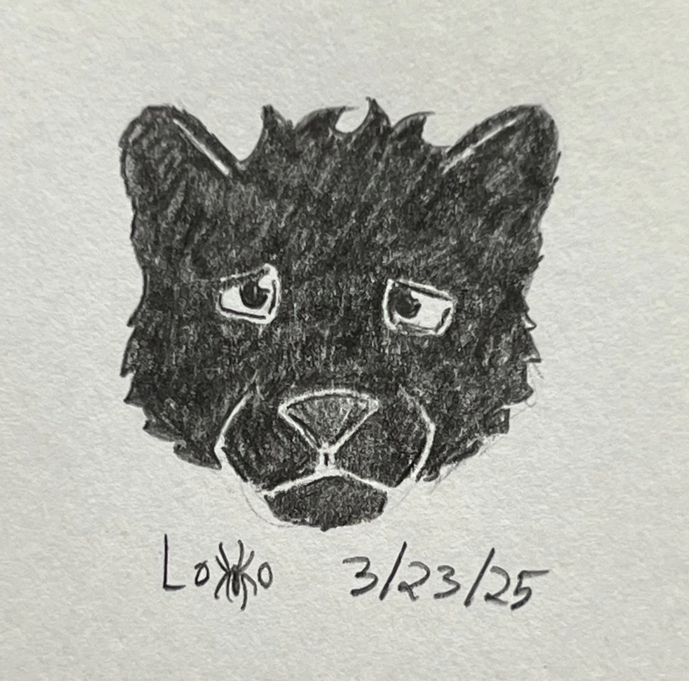 Melanistic jaguar