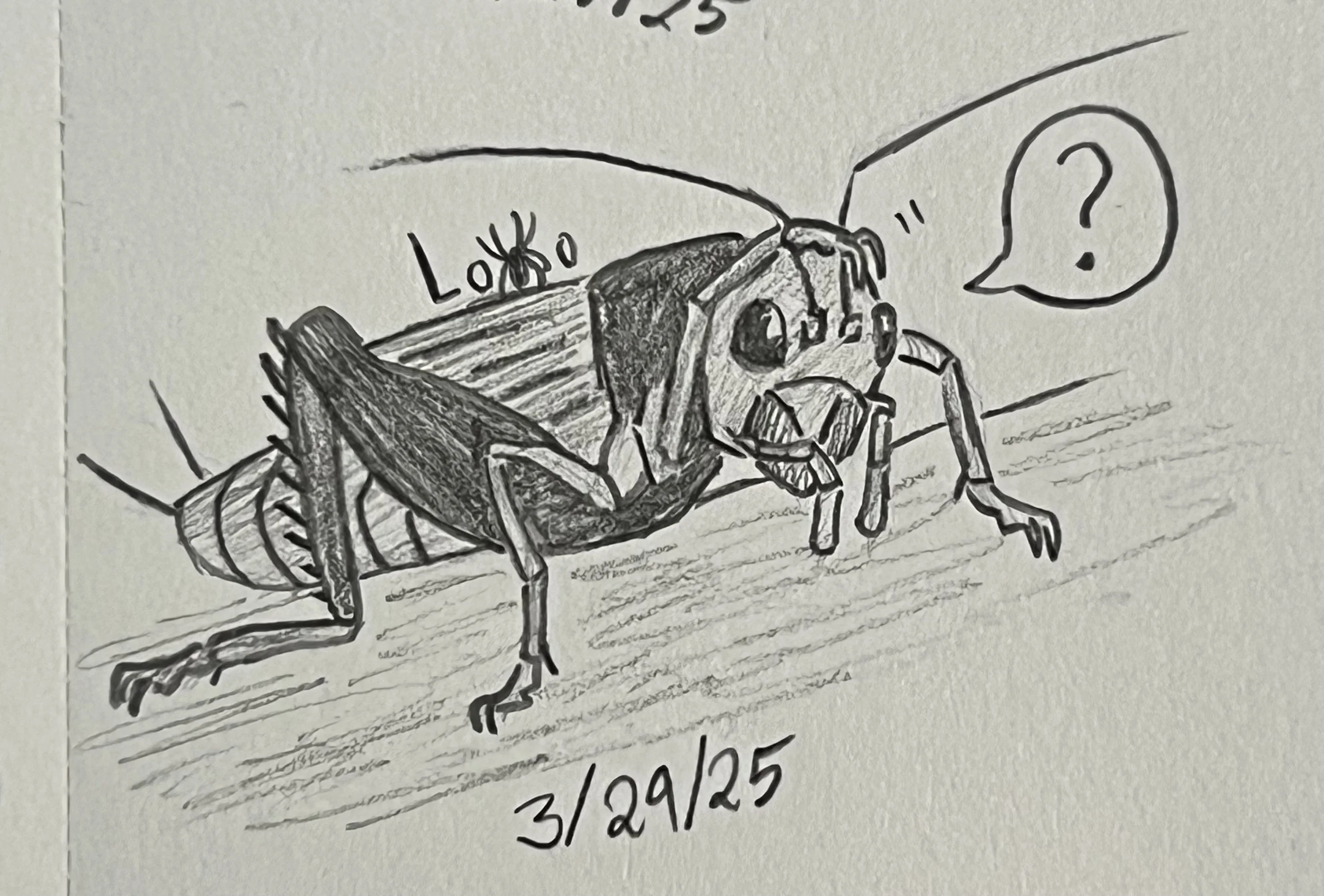 A cricket character from my fiction story Arachnid Assault