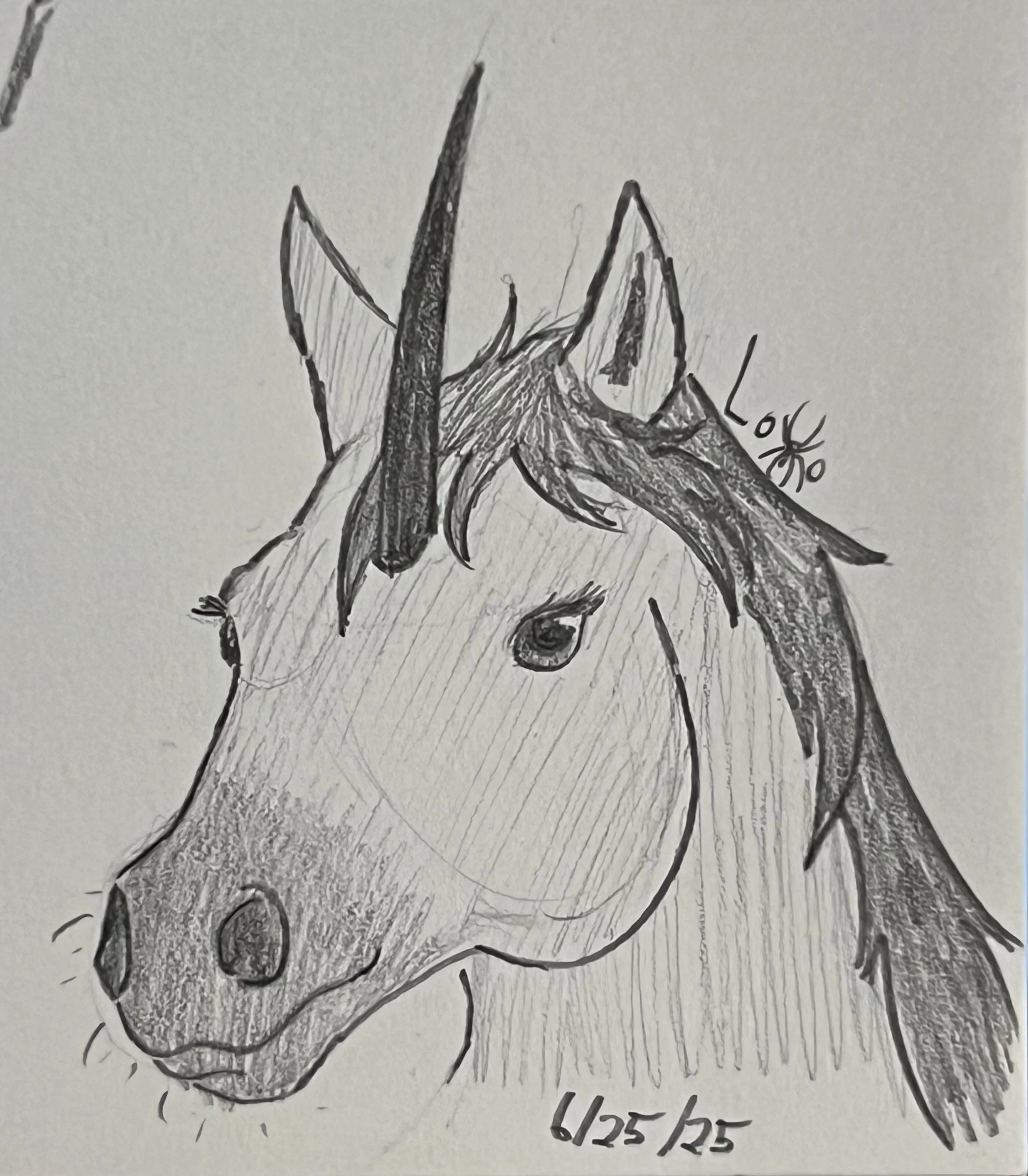 Unicorn