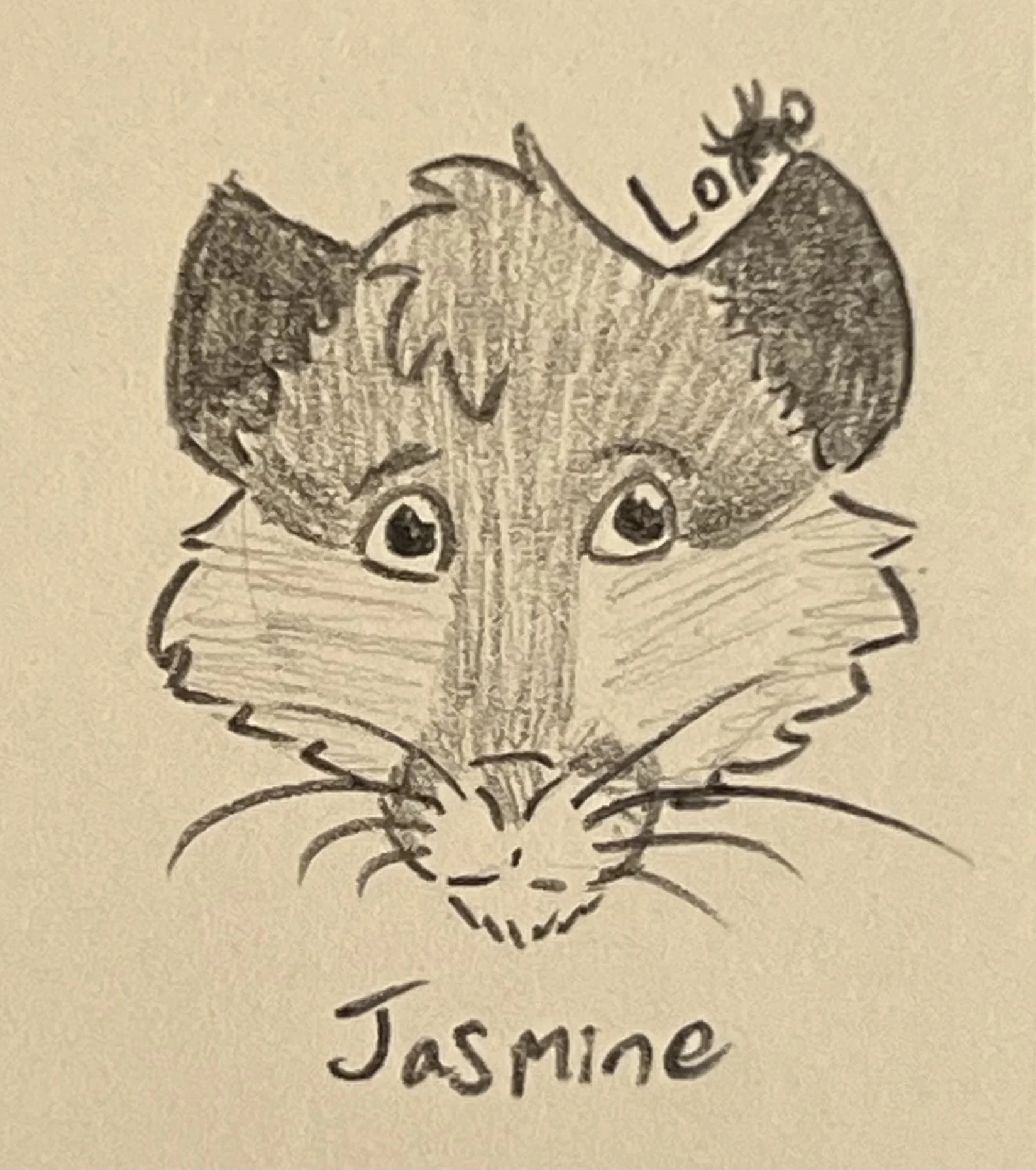 A rat character from my fiction story Arachnid Assault