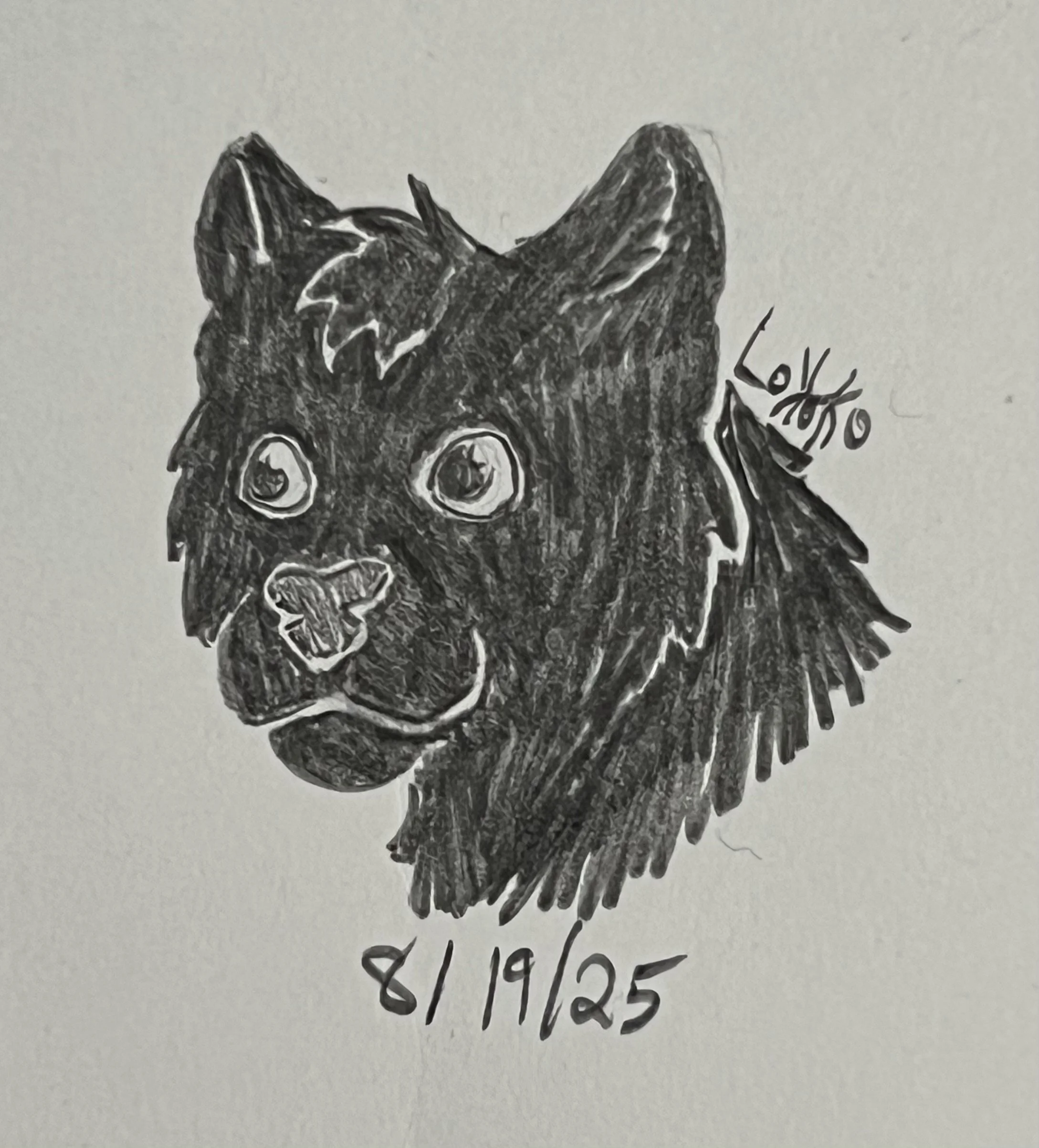 Melanistic jaguar