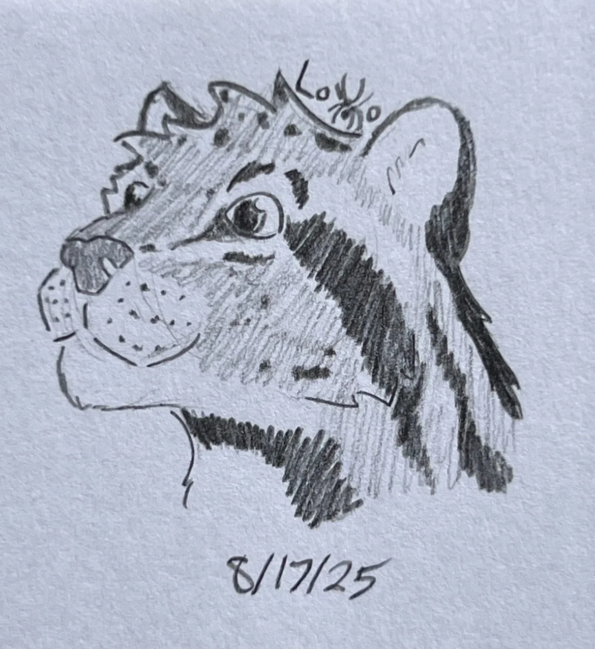 Clouded leopard