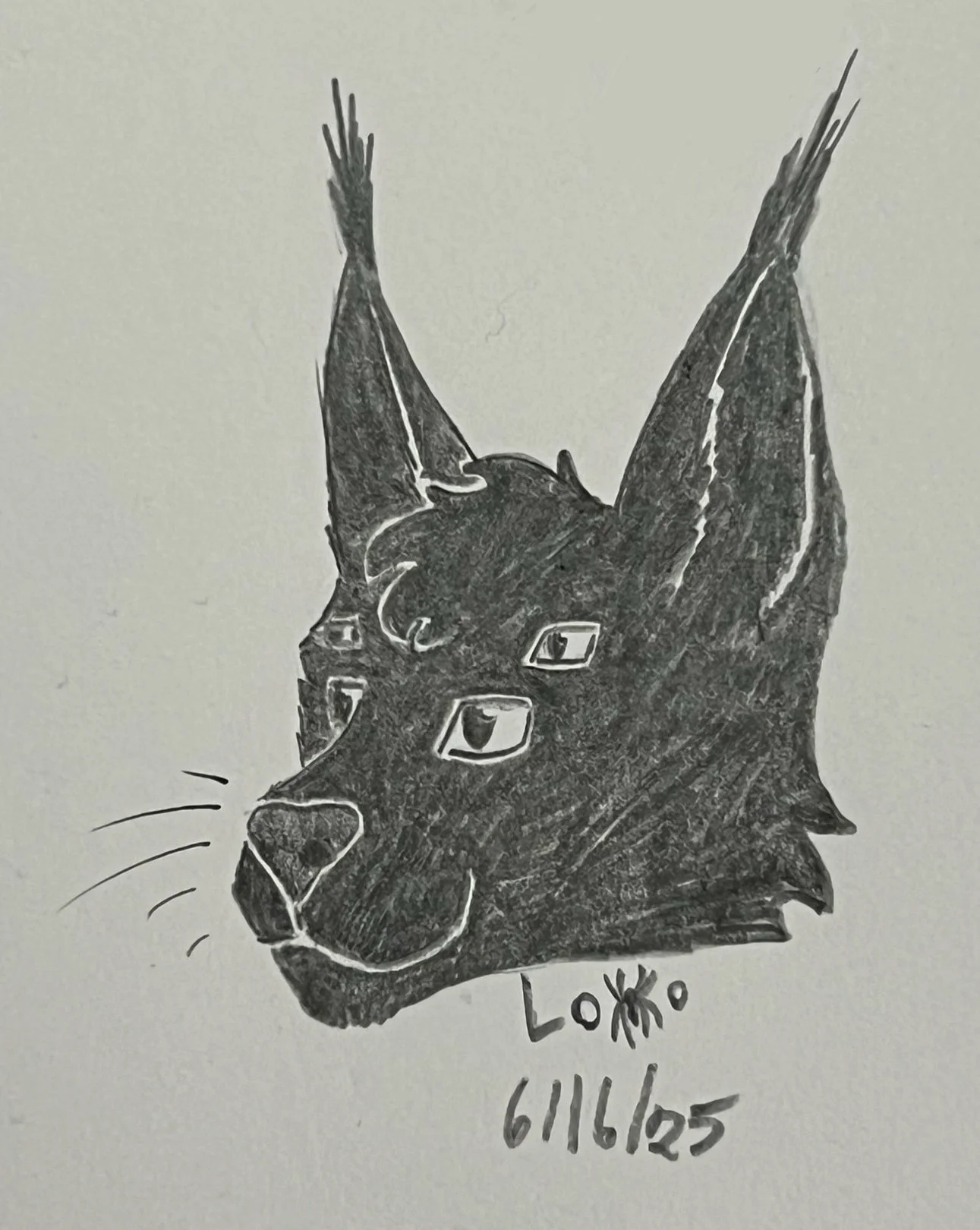 One of my four-eyed alien cats