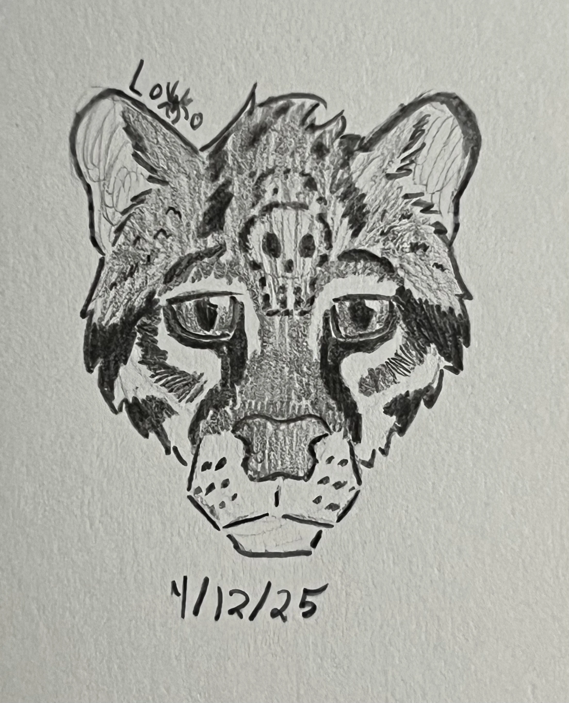 Ocelot