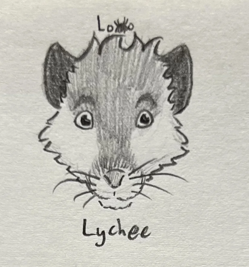 A rat character from my fiction story Arachnid Assault