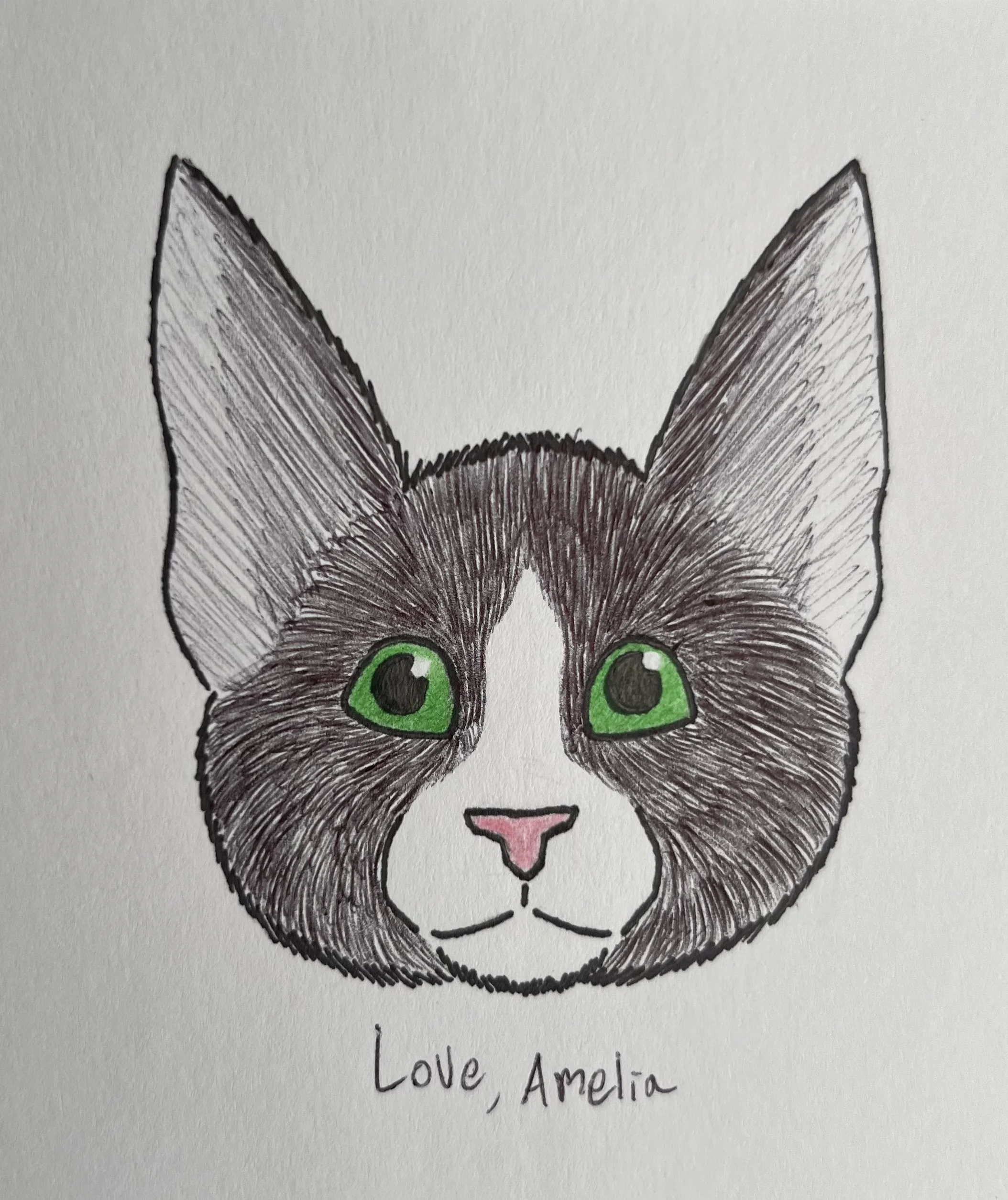 Pen and colored pencil drawing of a kitten