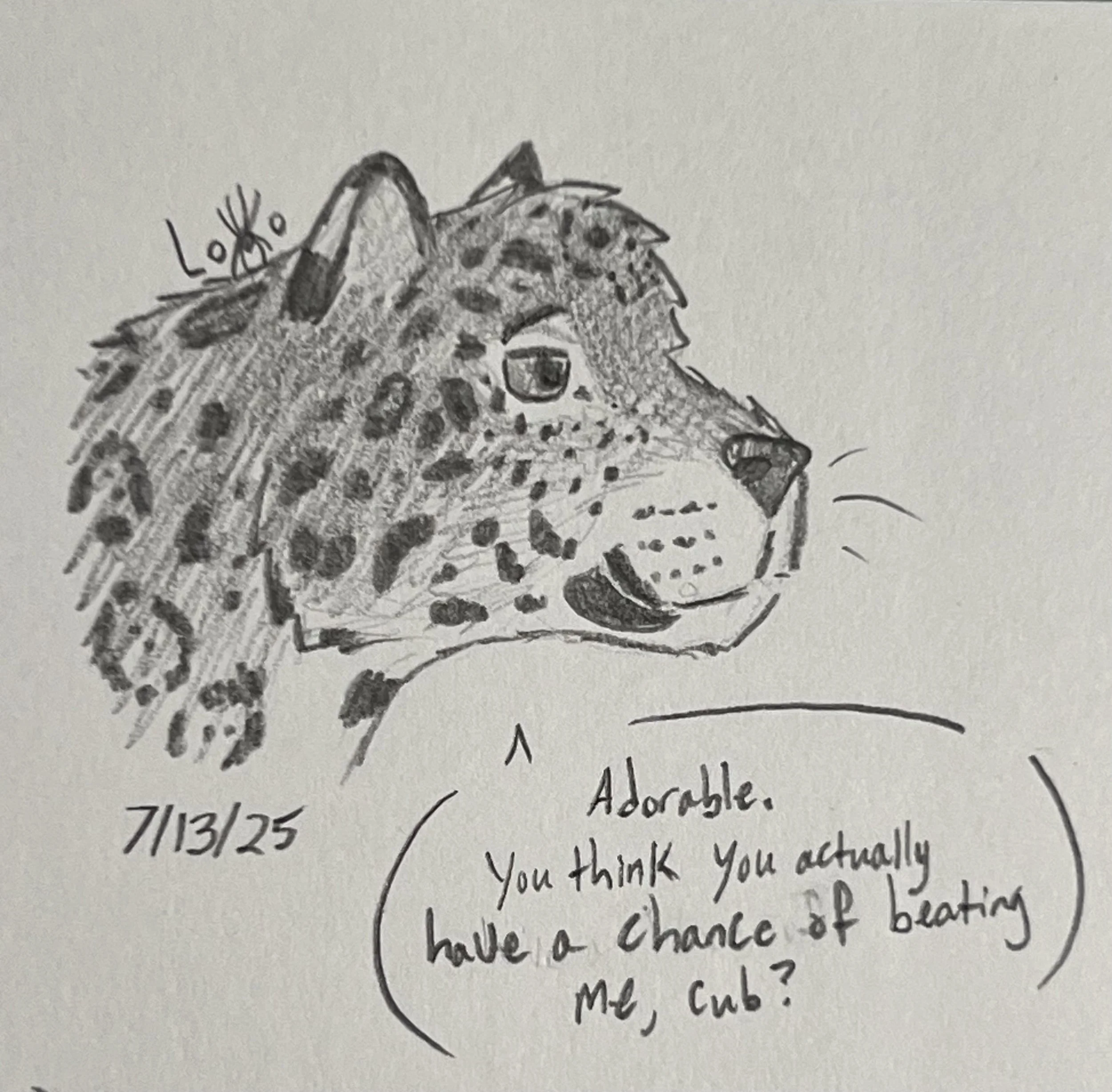 A jaguar character from my fiction story Mountain Academy