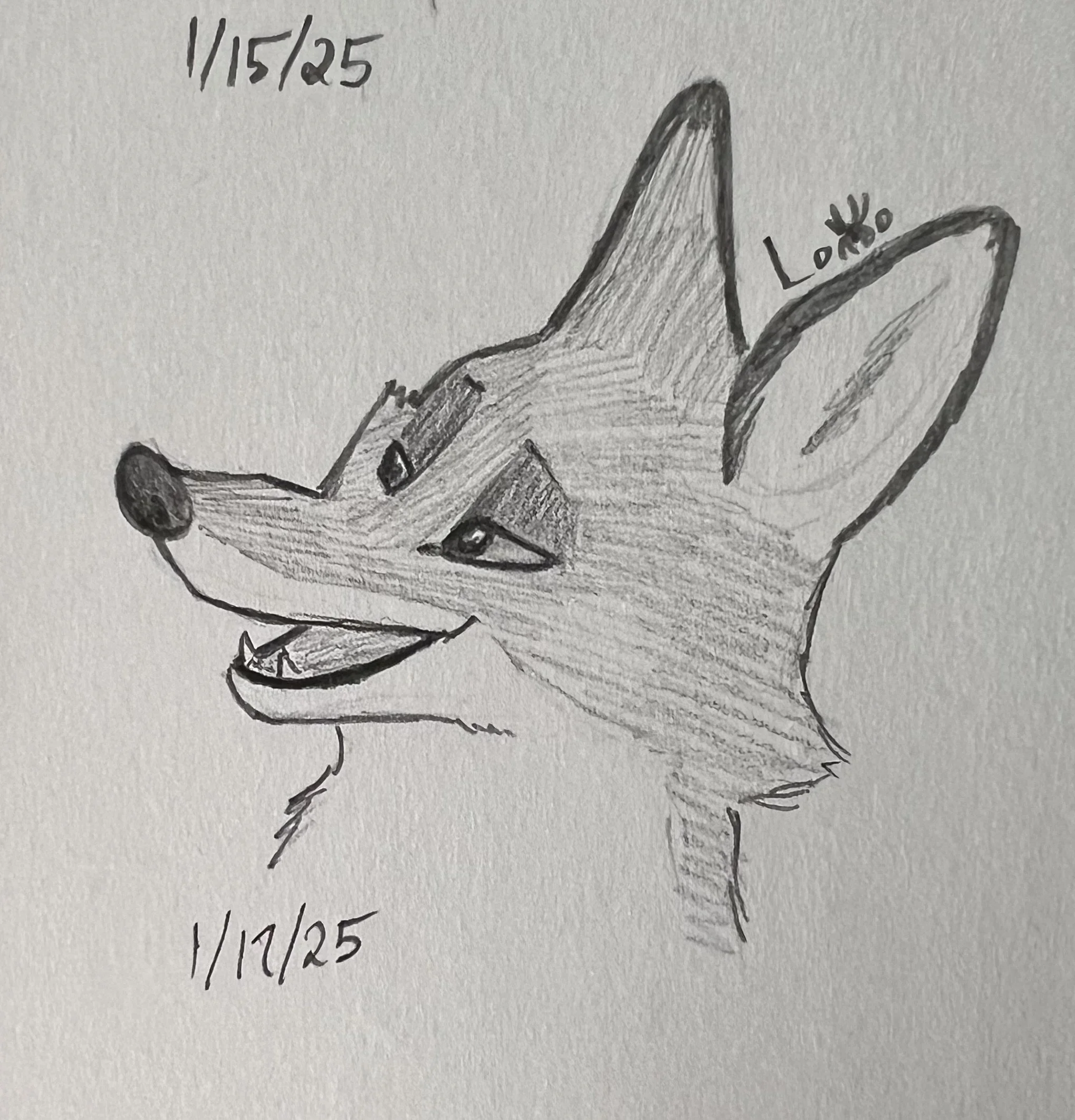 Fink the fox from The Wild Robot