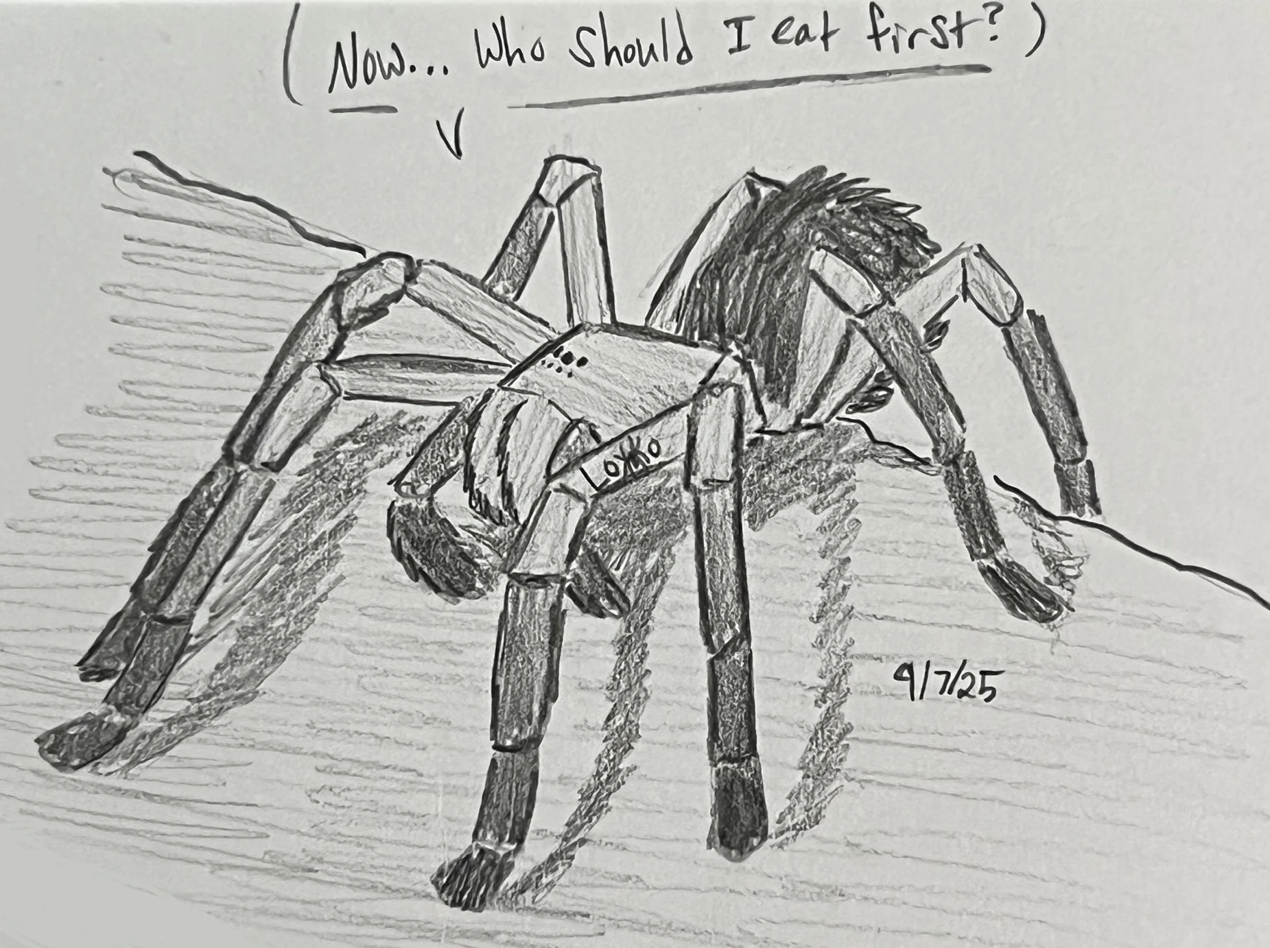 A spider character from my fiction story Arachnid Assault