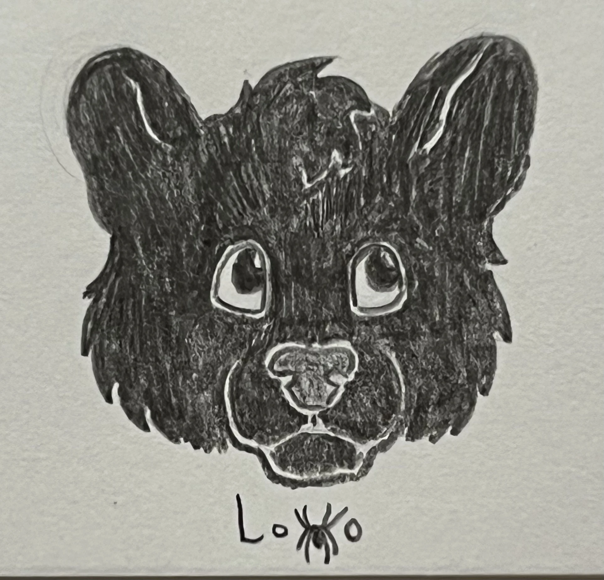 Melanistic jaguar