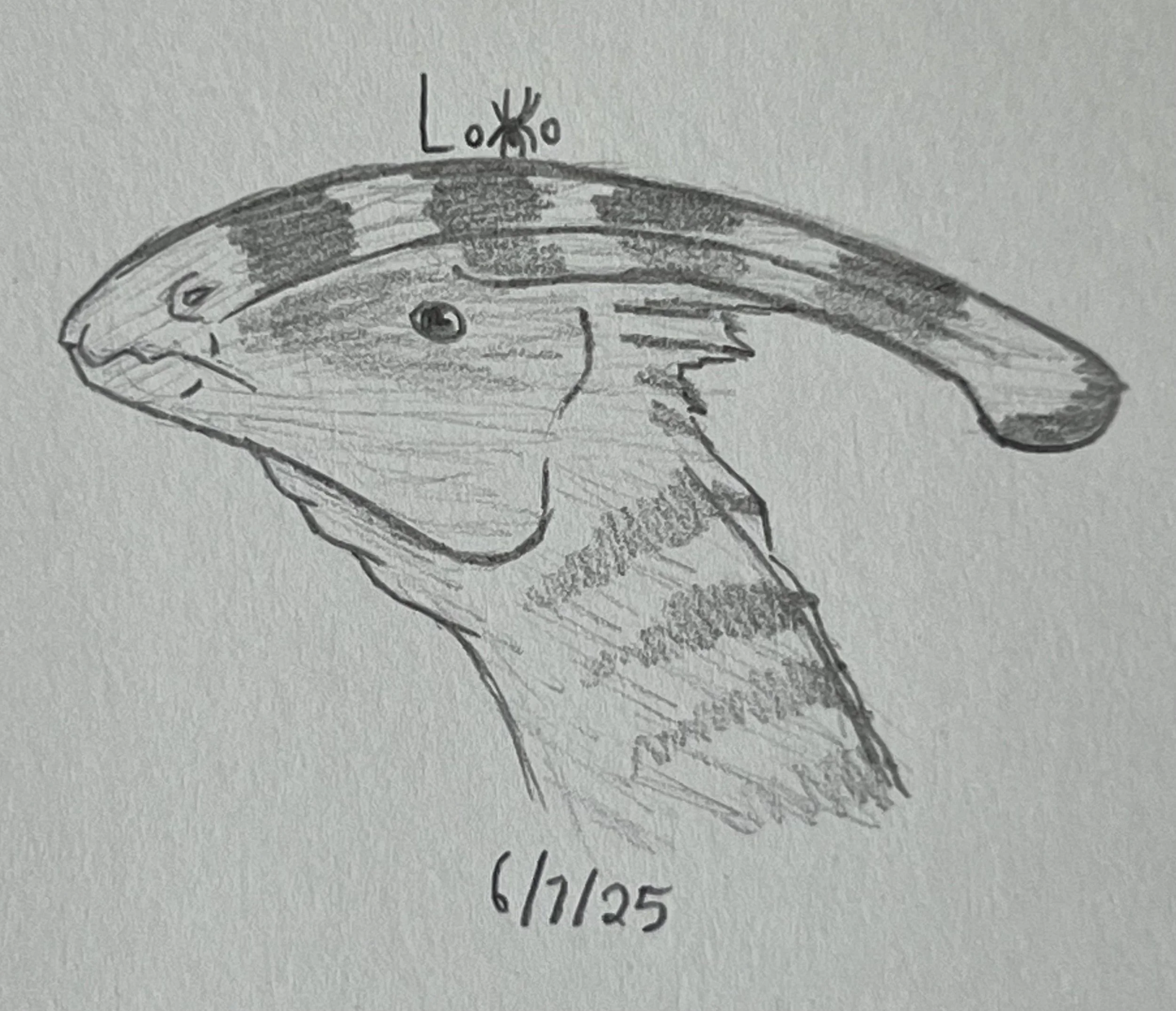 Parasaurolophus