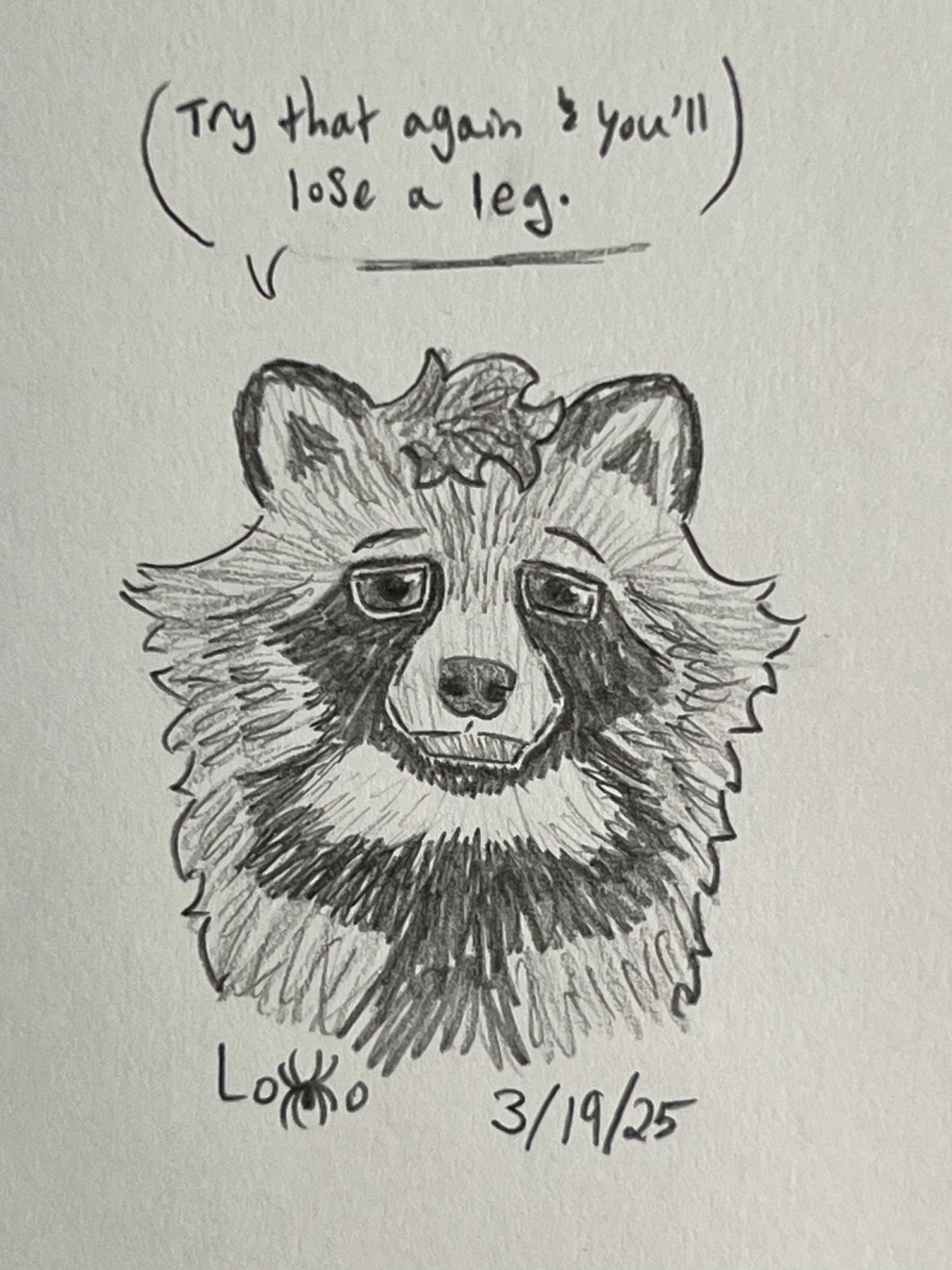 A raccoon dog (tanuki) character from my fiction story Mountain Academy