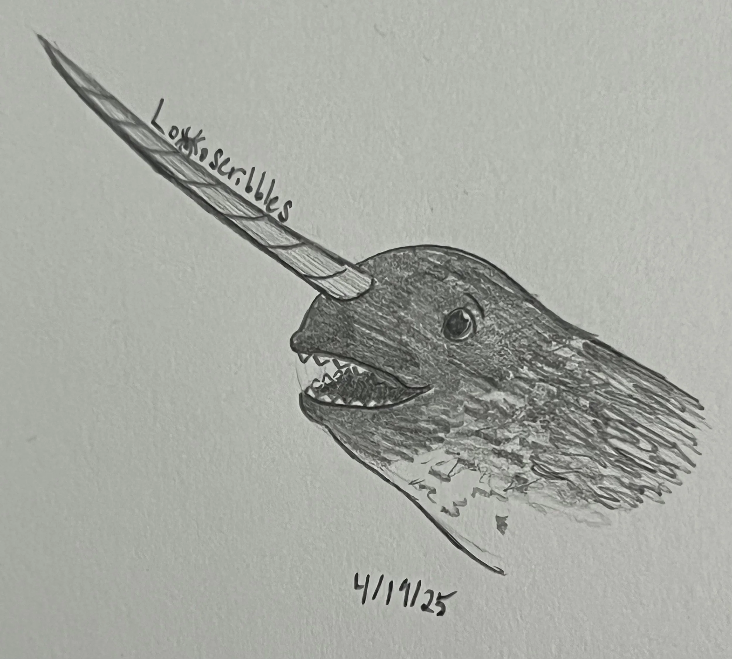 Narwhal