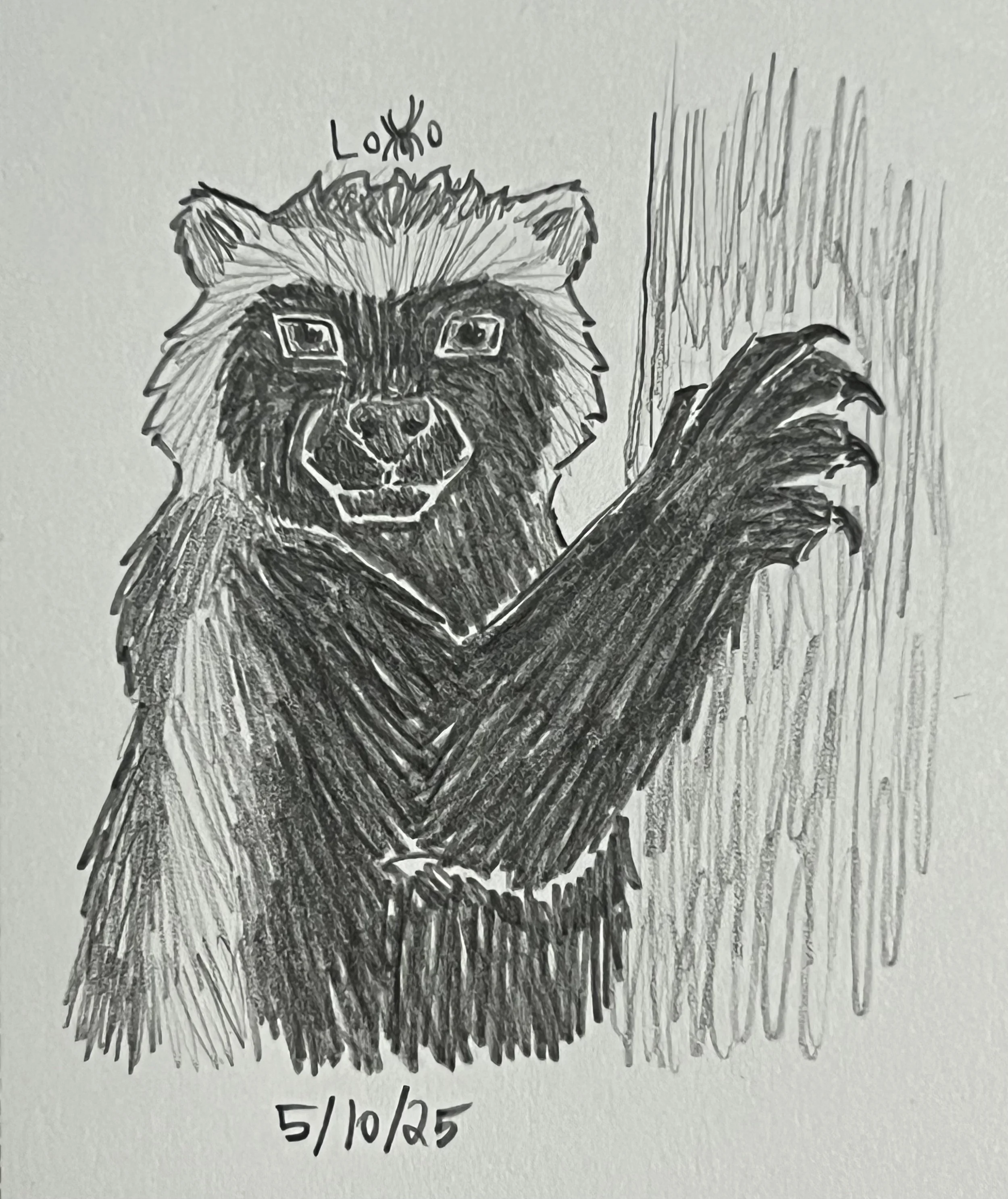 Wolverine climbing a tree