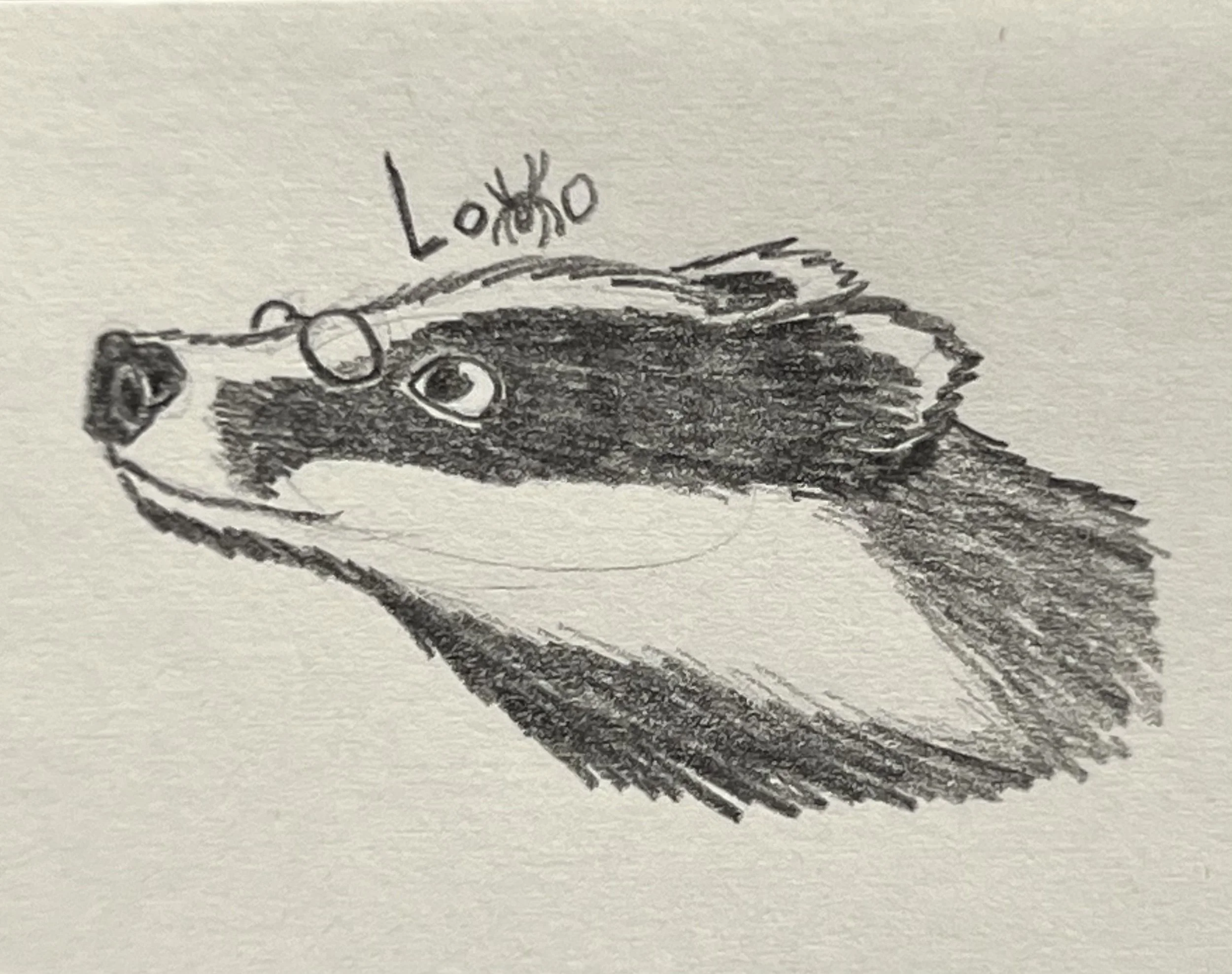 A European badger character from my fiction story Mountain Academy