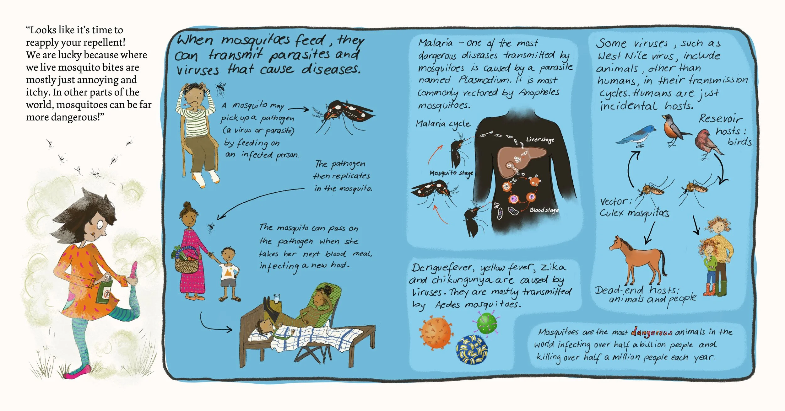 Illustration explaining how mosquitoes transmit viruses and cause diseases. Includes text, drawings of mosquitoes, a person showing symptoms, and a food chain from mosquitoes to animals and humans.