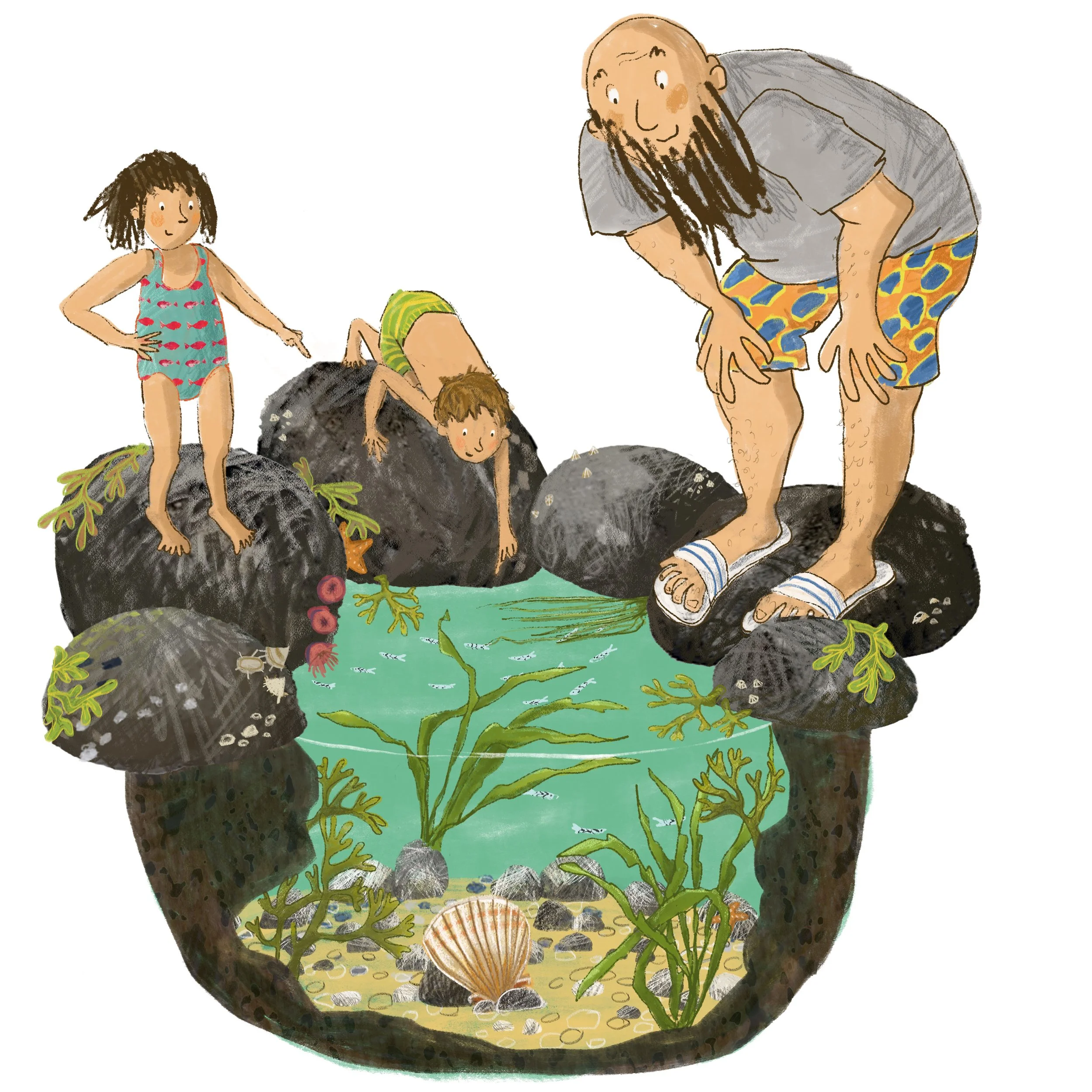 panel 1 tidepool.jpg