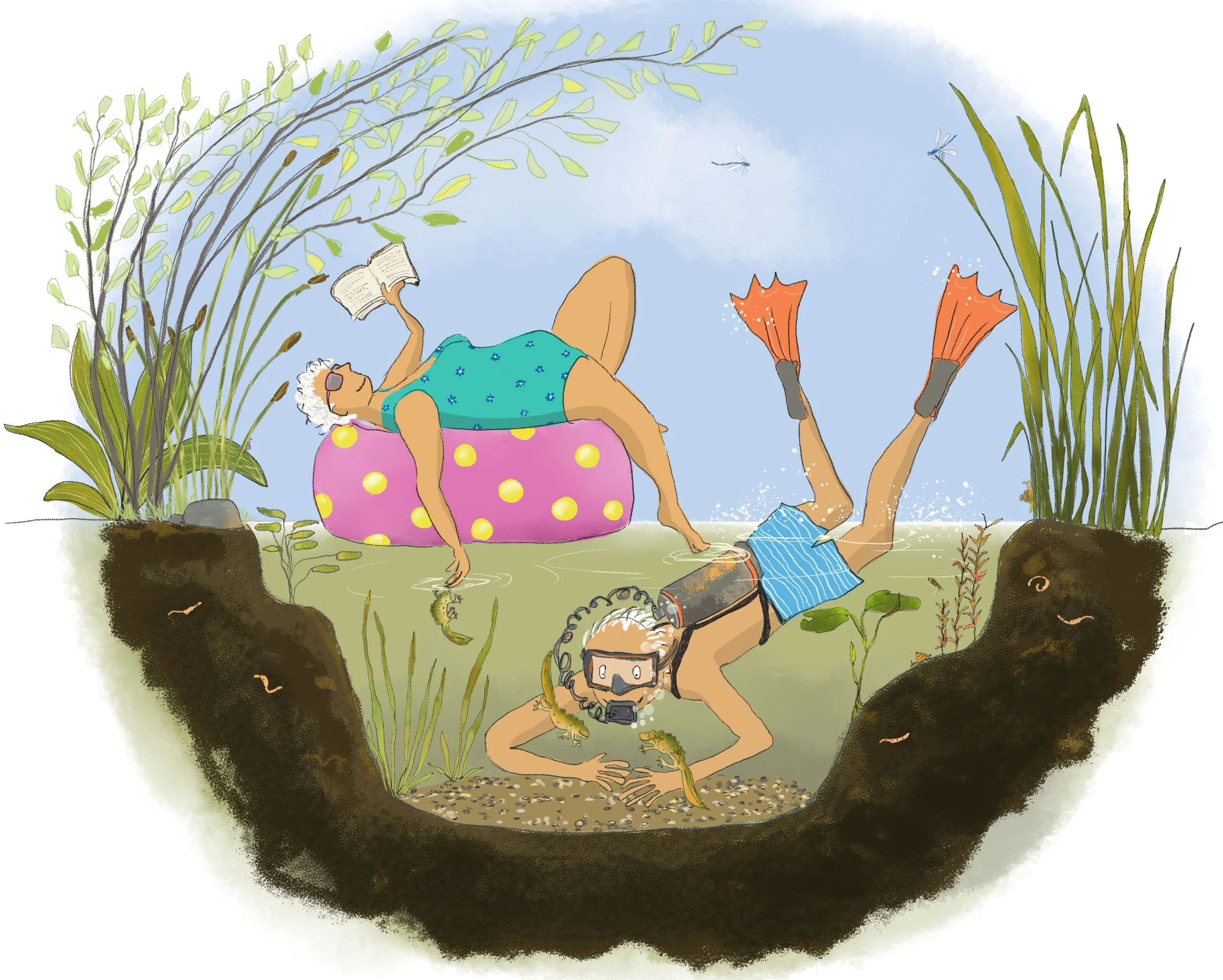 An illustration of elderly women relaxing outdoors, one lying on a pink polka-dotted float, reading a book. In the po wearing snorkeling gear , a man is diving with newts. all surrounded by grass and plants under a blue sky.