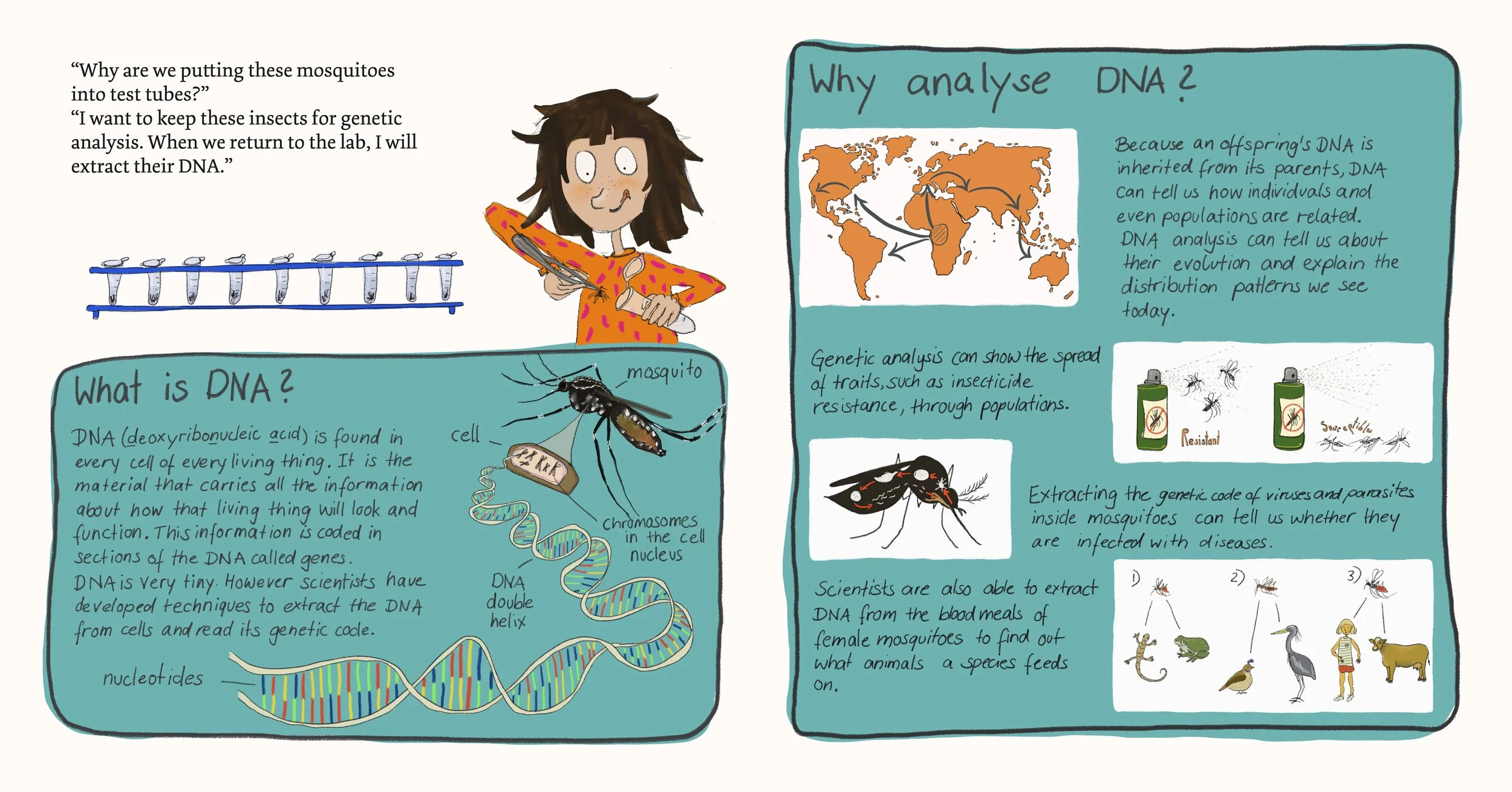 An illustrated educational poster explaining DNA analysis, its importance in understanding inheritance, evolution, and disease. The poster includes a cartoon girl holding a test tube, a diagram of a DNA double helix, a world map with arrows, and images of mosquitoes, insecticide, and animals. Texts describe DNA functions, the process of DNA analysis, and its applications in identifying infectious agents.