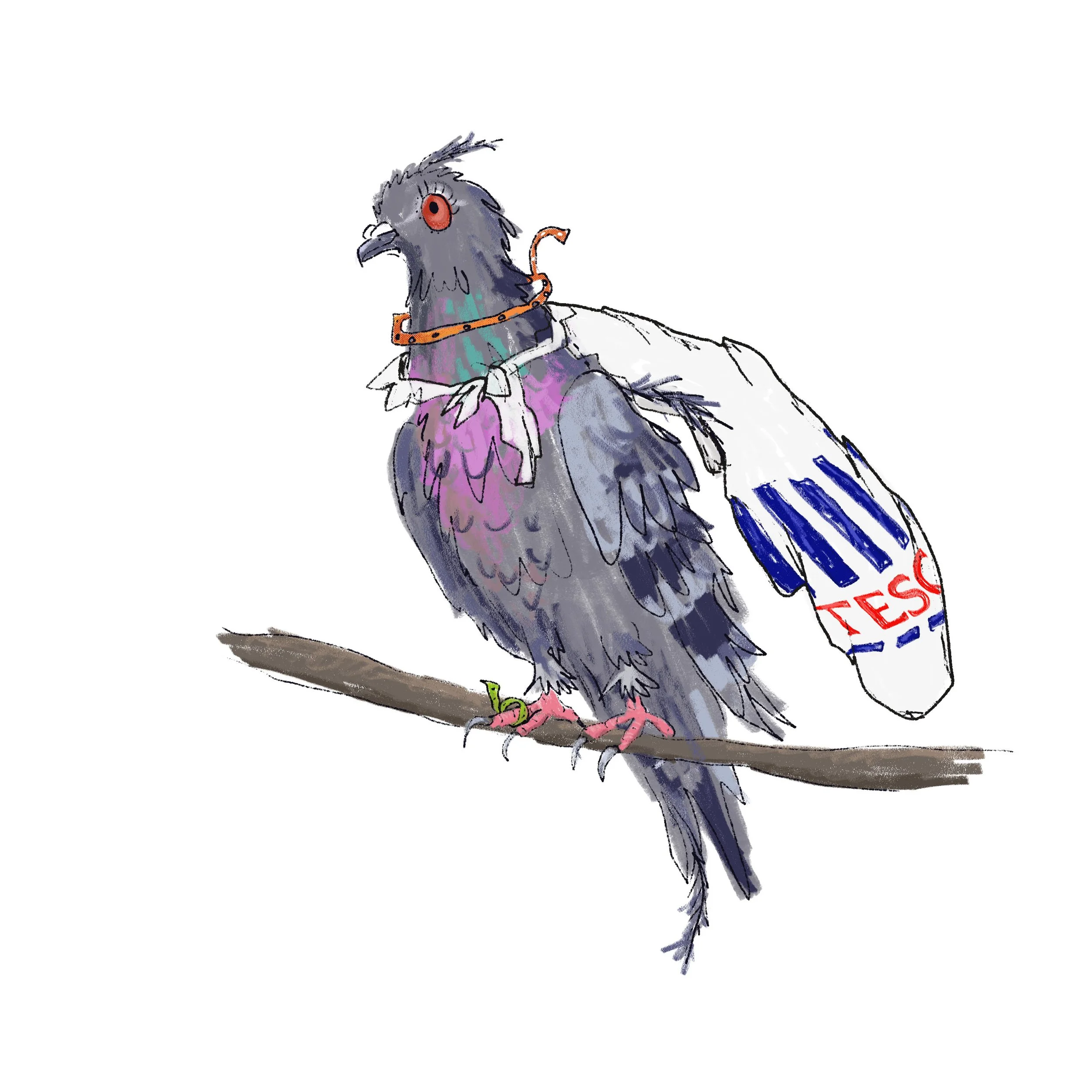 pigeon claudette.jpg