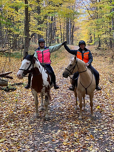 Healing Rein Farm 3.webp