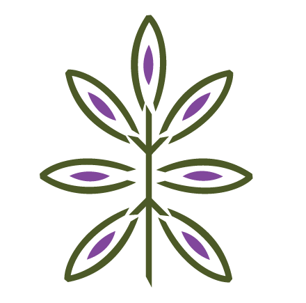 Stylized flower with purple and green petals and leaves, representing Ortho-Bionomy services