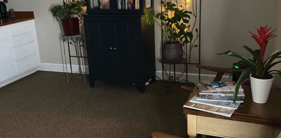Interior of Hands of My Ancestors massage room in Folsom, CA with a black cabinet, potted plants, and a wooden side table with magazines.