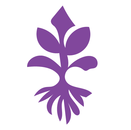 Positive review for Hands of my Ancestors theraputic  services