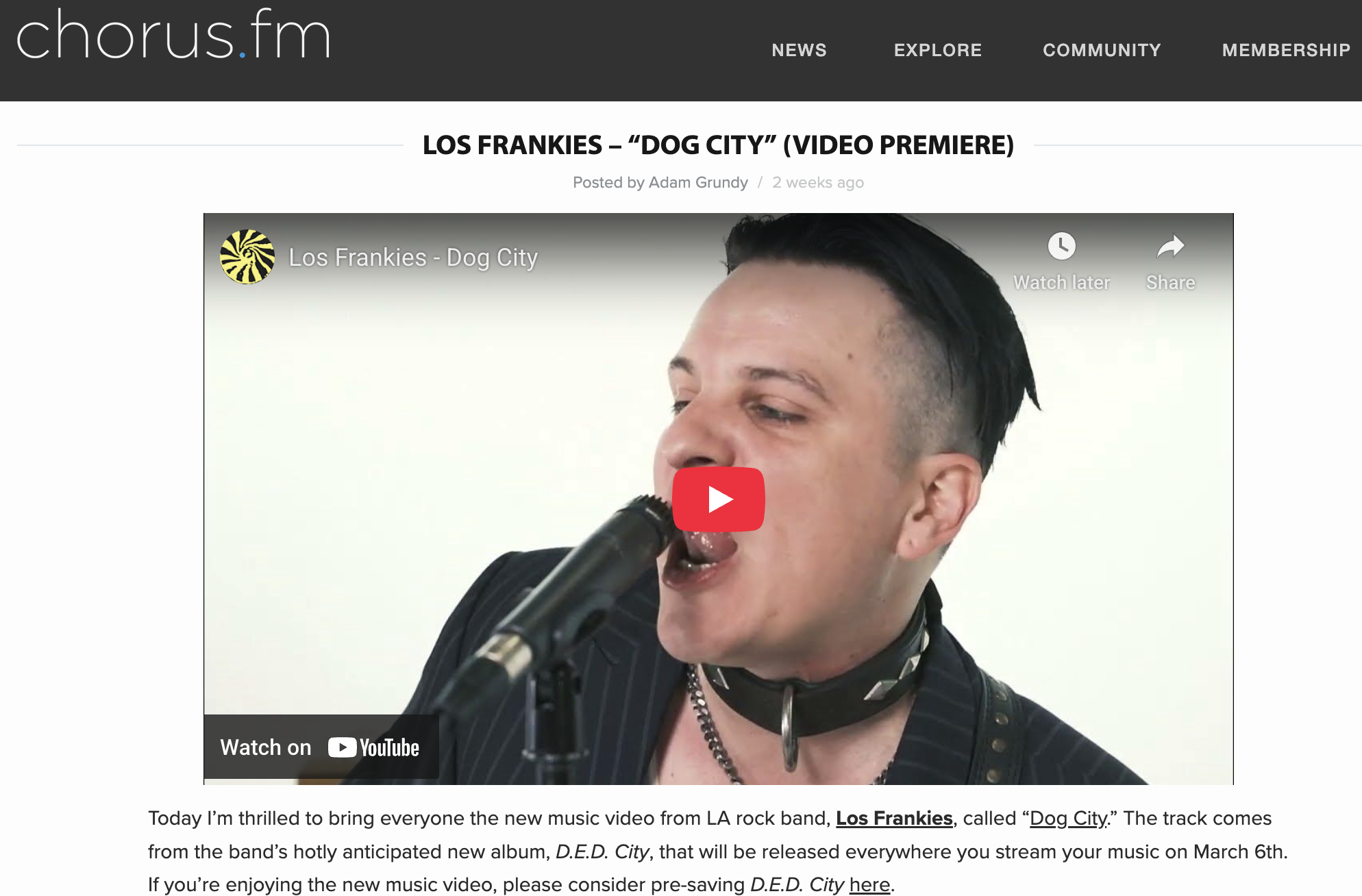 'Dog City' Video Premiere