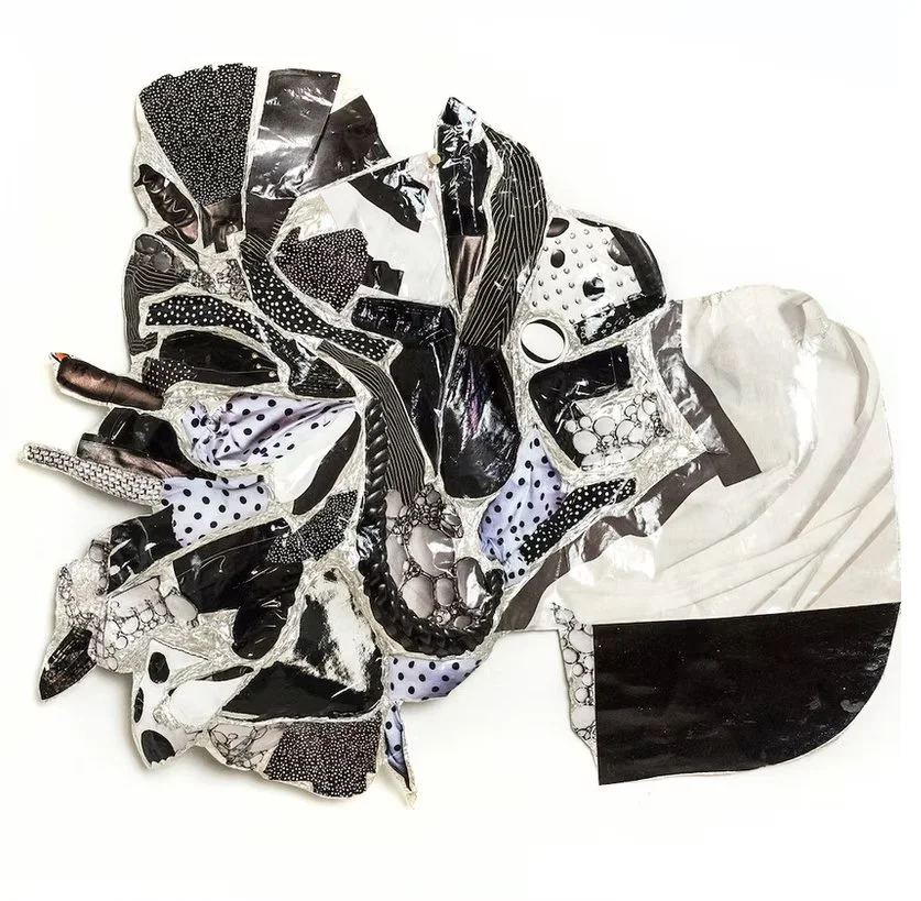 Fizzy
Printed paper collage on shaped foil
17" x 19" x 3"  (2017)