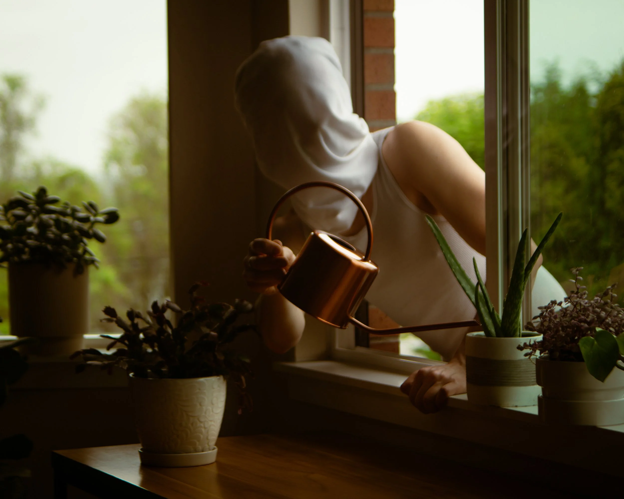 Window watering 2.jpg