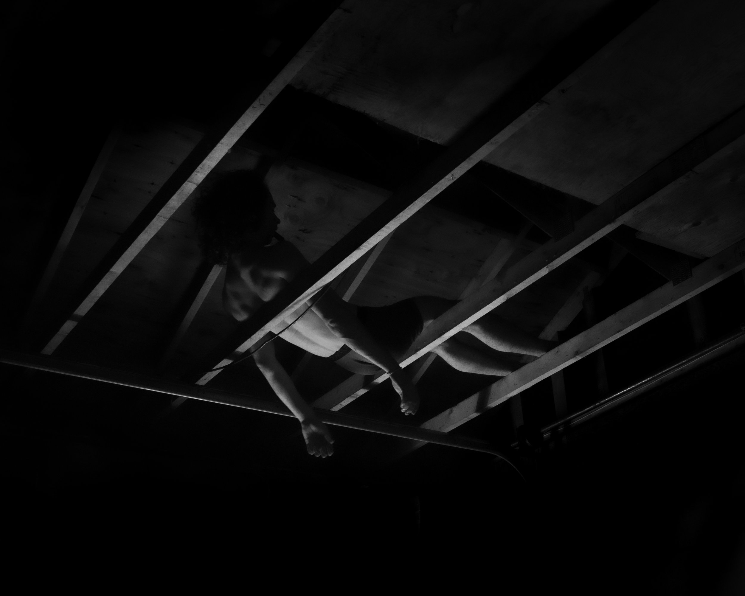 Garage rafters 2.jpg