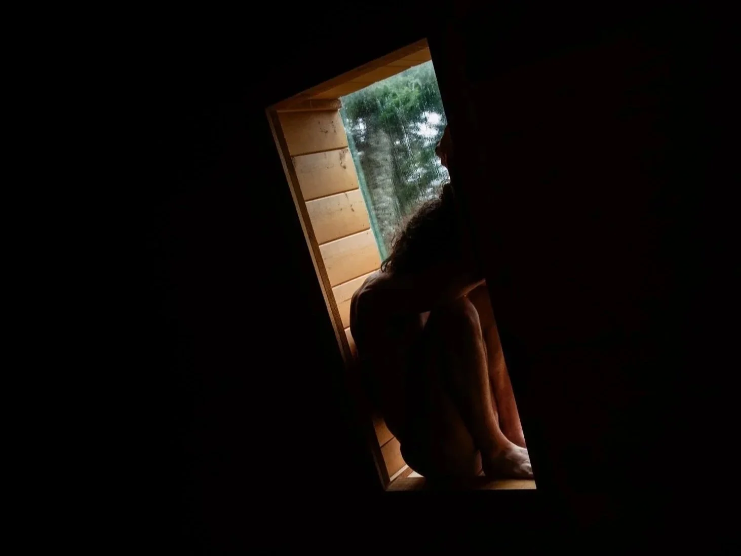 Cabin Sitting: a collection