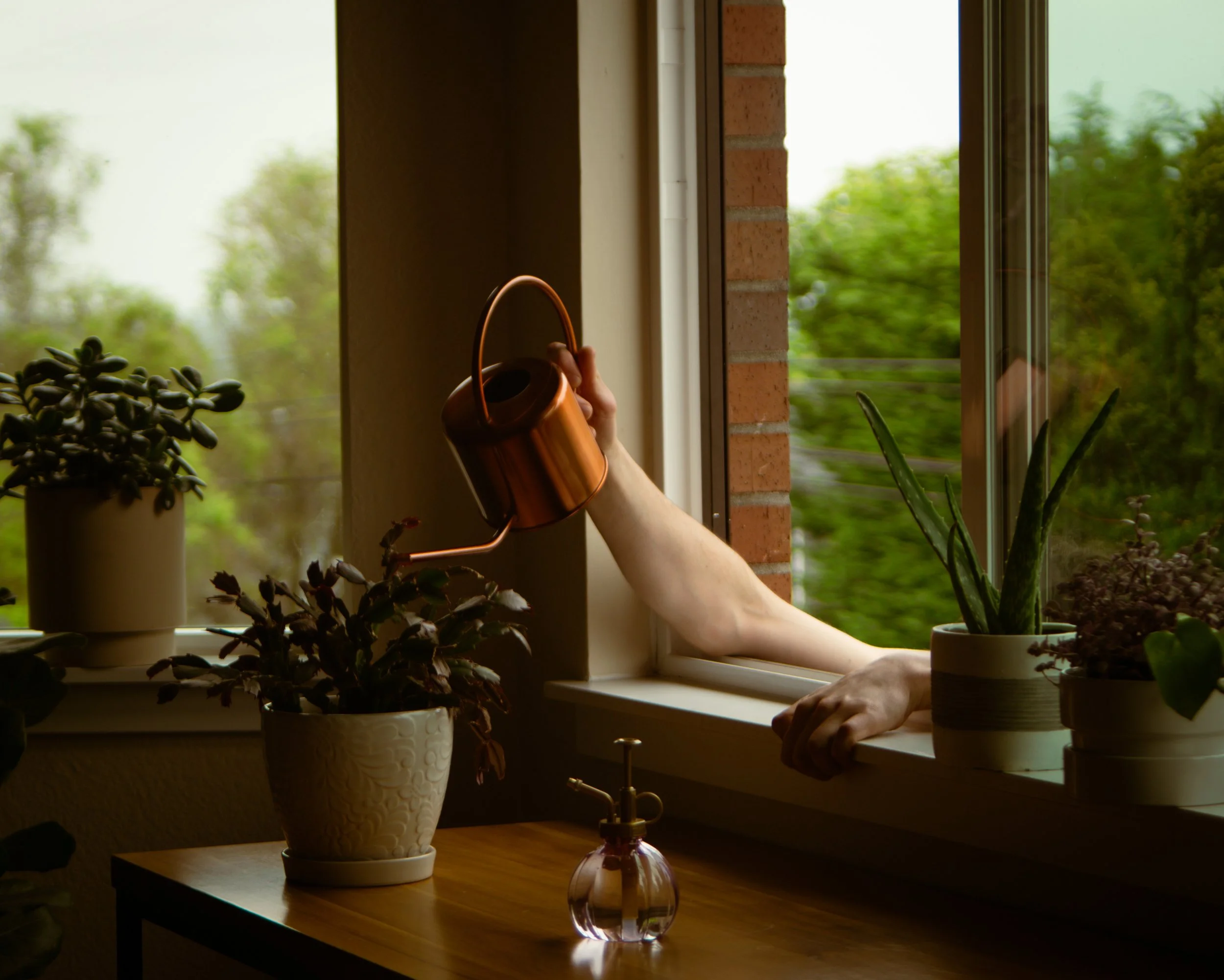 Window watering 1.jpg