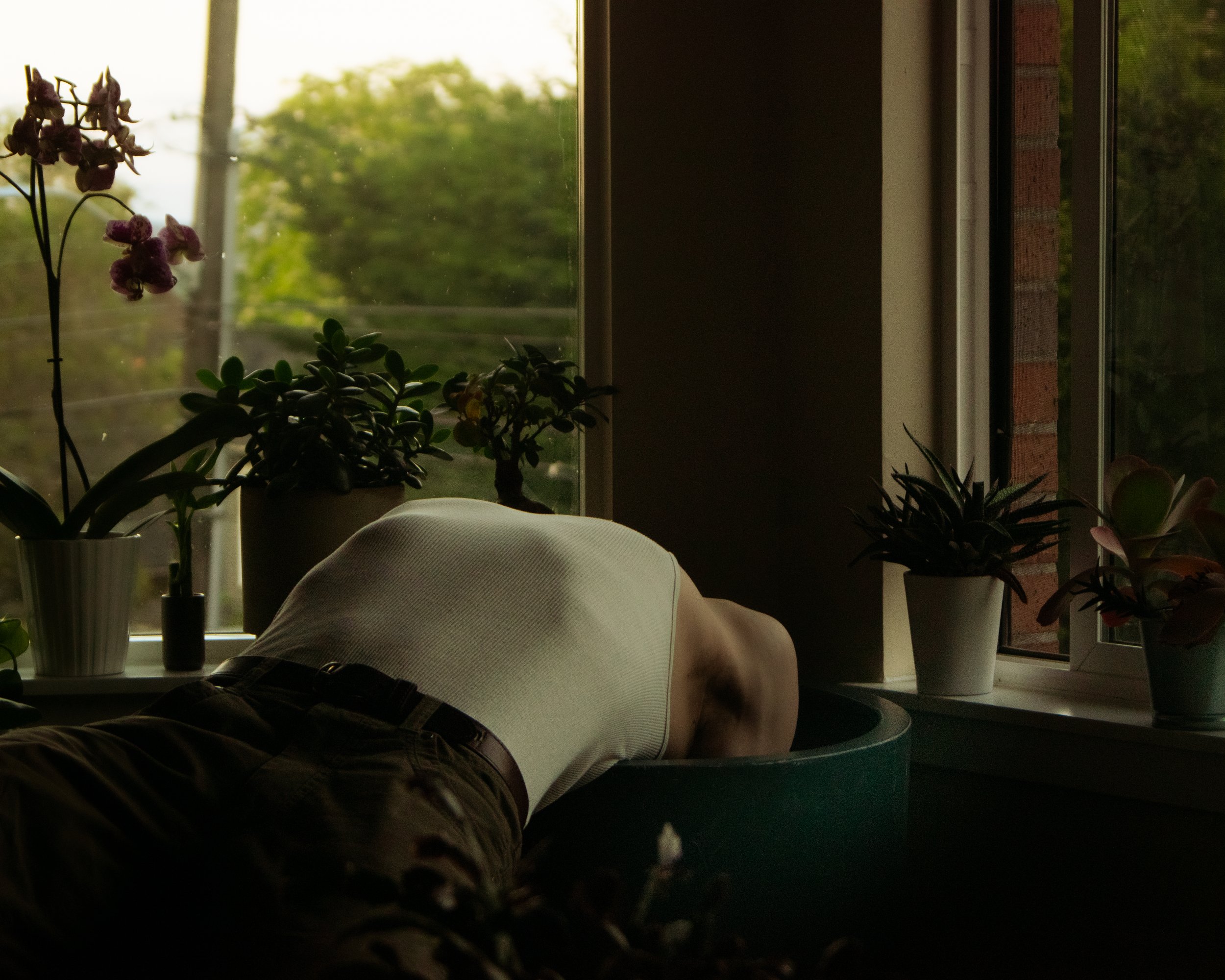 Planter Shoot  5.2025