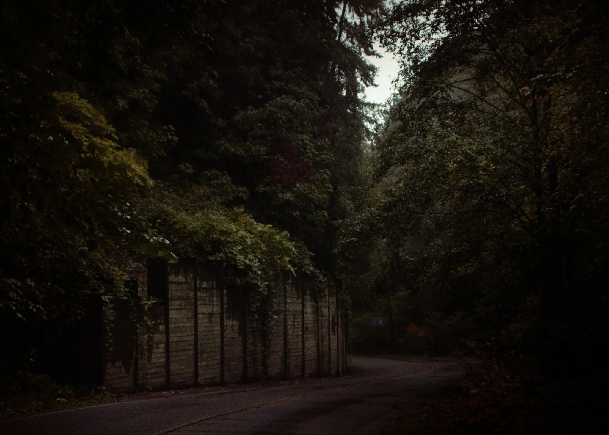 rain.180th.2021.1.color.jpg