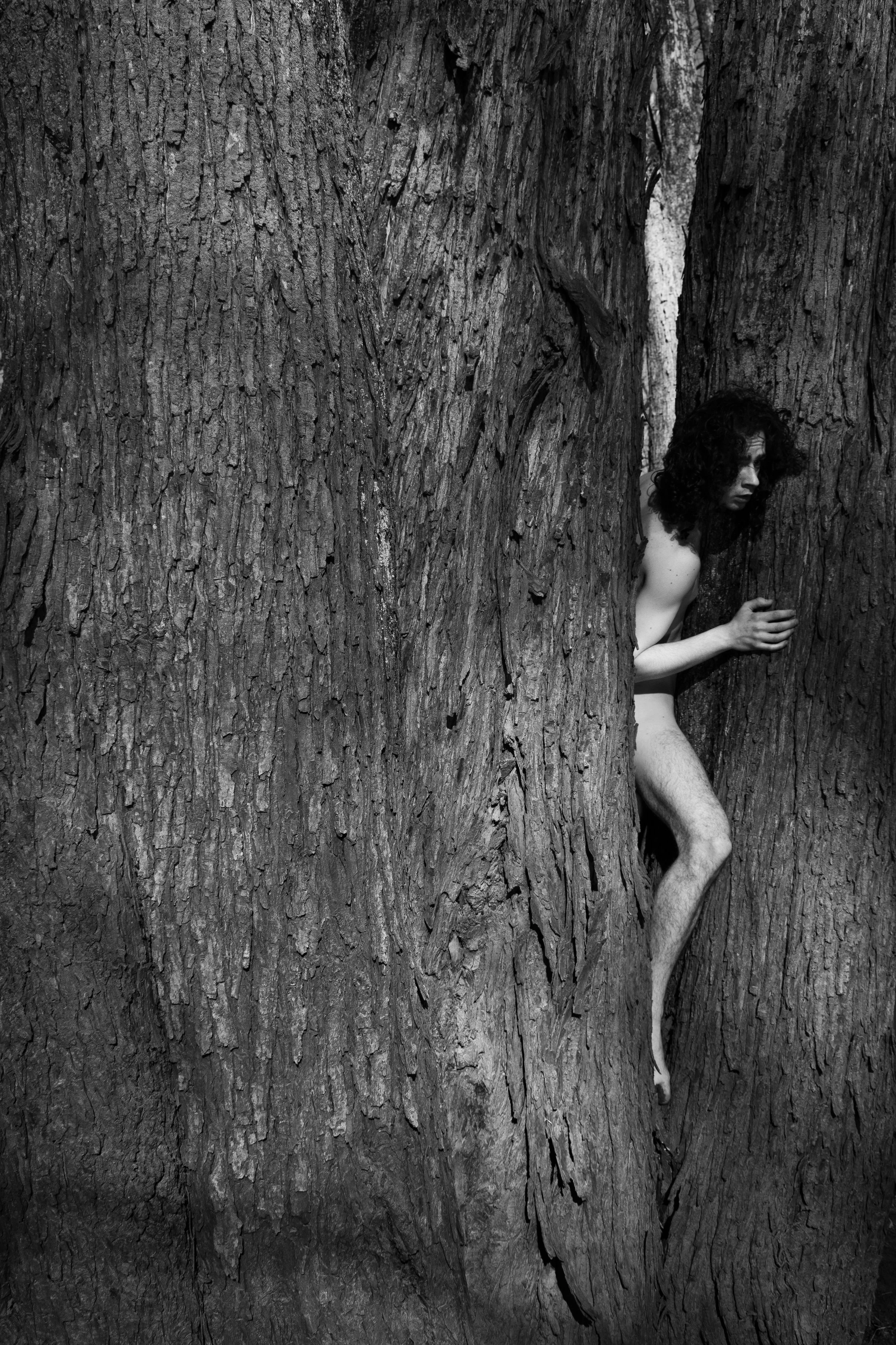 Lake of the woods 1.jpg