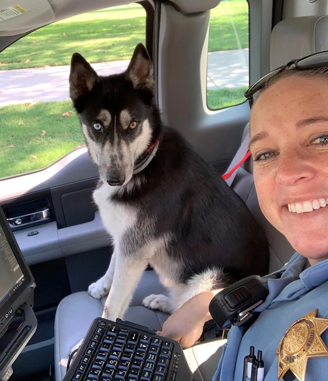 A police officer taking a selfie with a Siberian Husky inside a police vehicle, showing a grassy outdoor area through the windows.