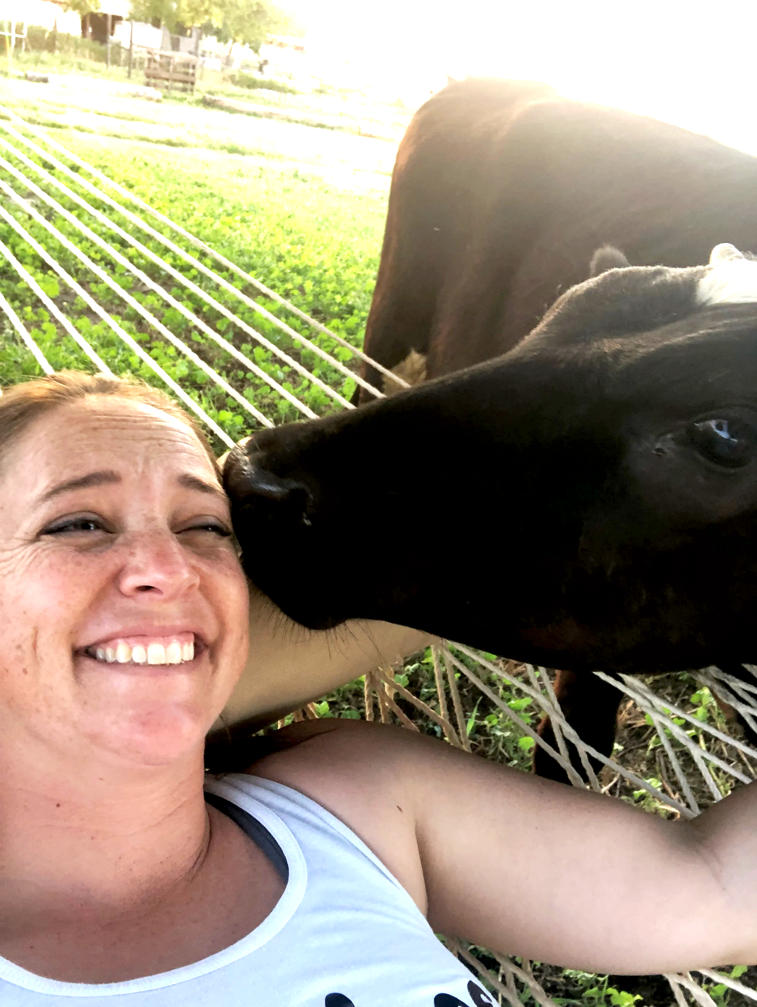 A woman smiling and lying on a hammock, being kissed on the cheek by a black and white cow.