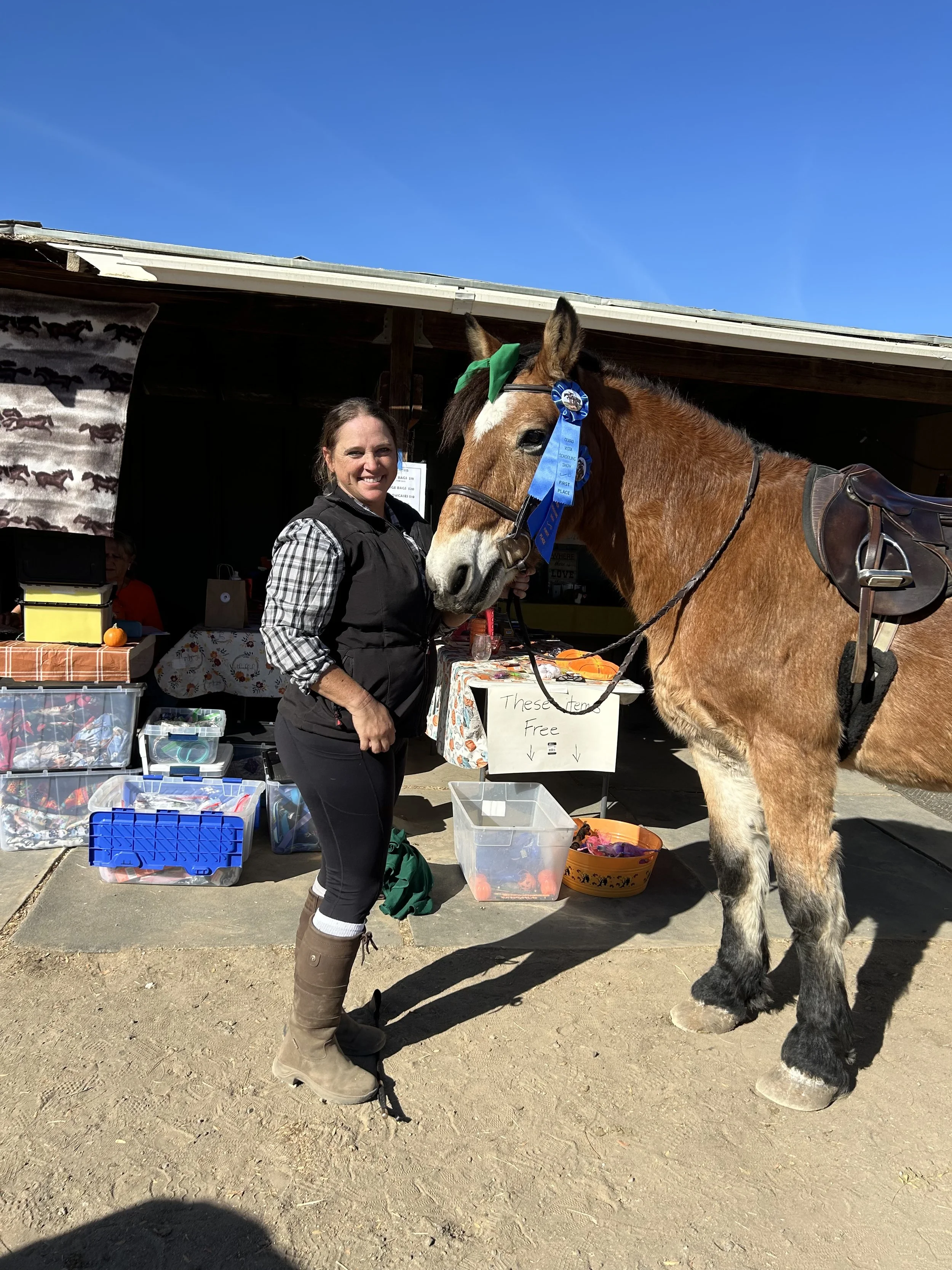 A smiling woman standing next to a horse with ribbons on its bridle, at a stall with toys and a sign that reads 'These items are free', outdoors under a clear blue sky.
