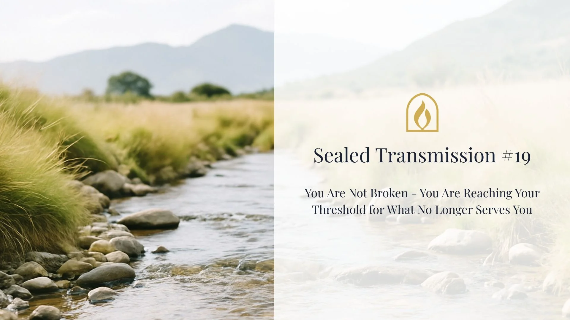 Sealed Transmissions (13).jpg