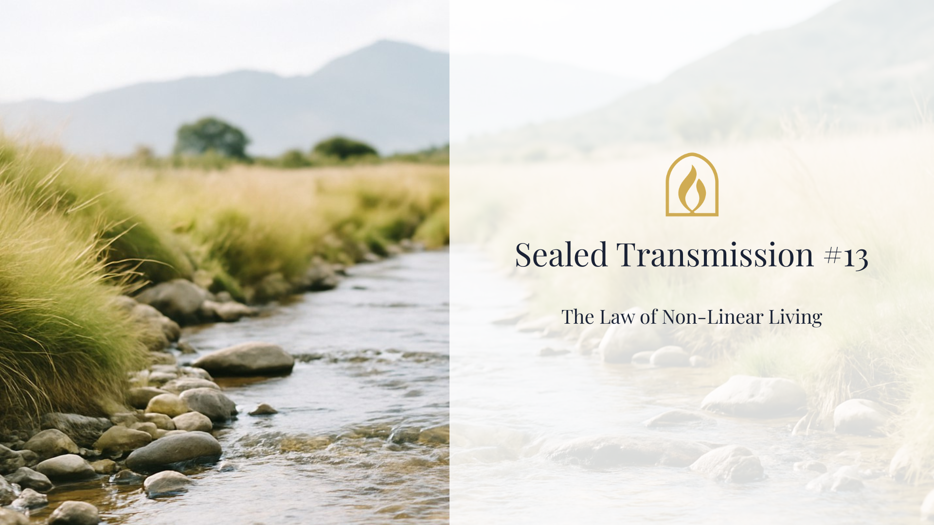 Sealed Transmissions (1).png