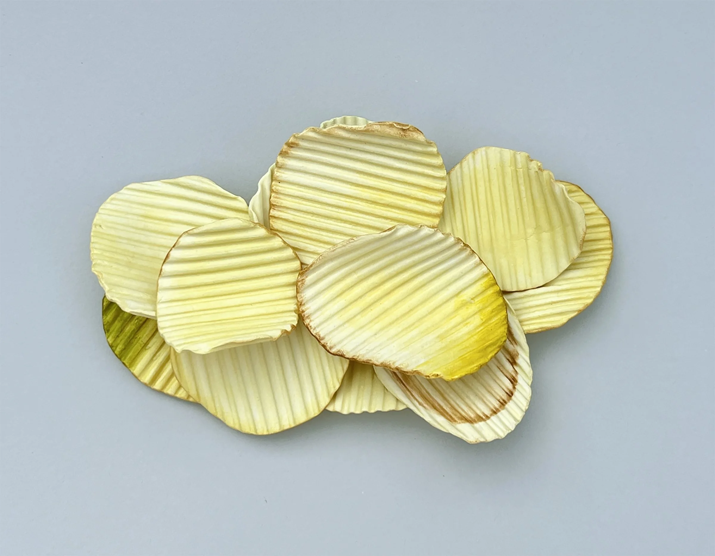 chips.jpg