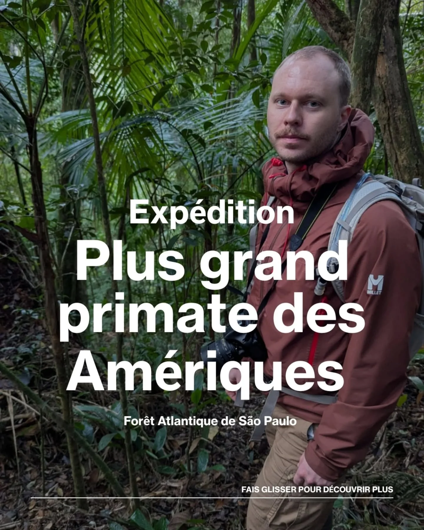 L&rsquo;exp&eacute;dition secr&egrave;te pour rencontrer les singes les plus rares du Br&eacute;sil
&Agrave; seulement 3h de S&atilde;o Paulo, vivent deux tr&eacute;sors que presque aucun touriste ne voit : le Muriqui du Sud et le Tamarin-lion noir. 