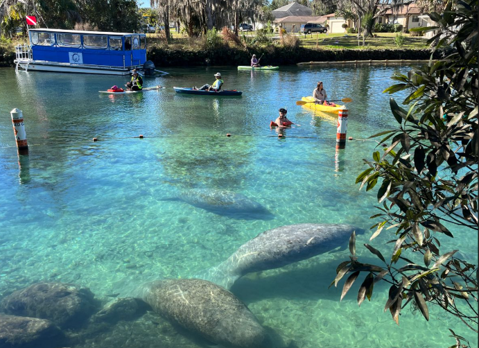 Three Sisters Springs