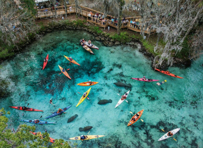 Crystal River springs