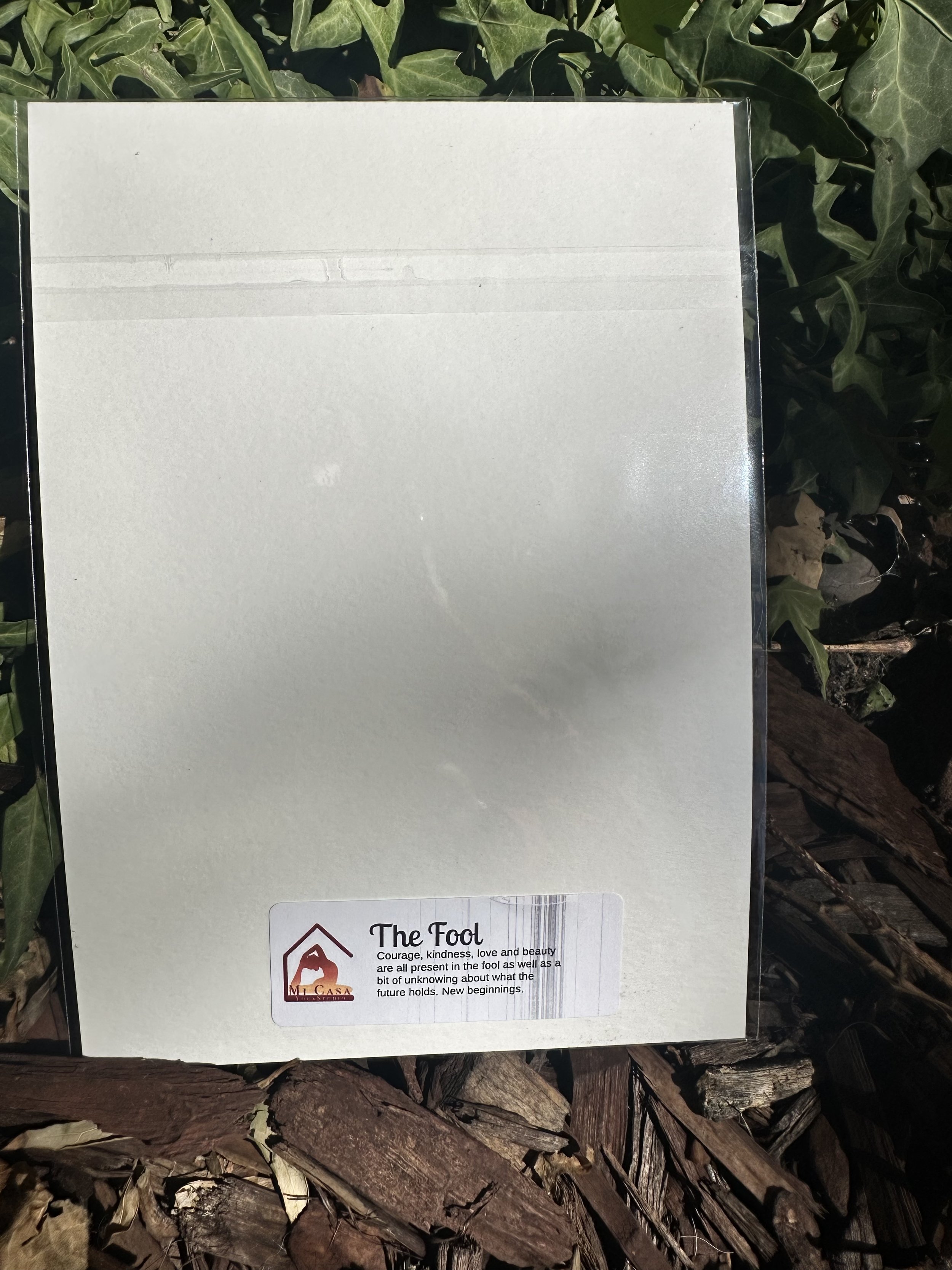 IMG_9497.jpeg