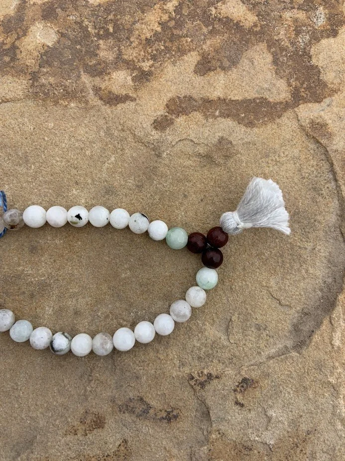 dalmation jasper.jpg