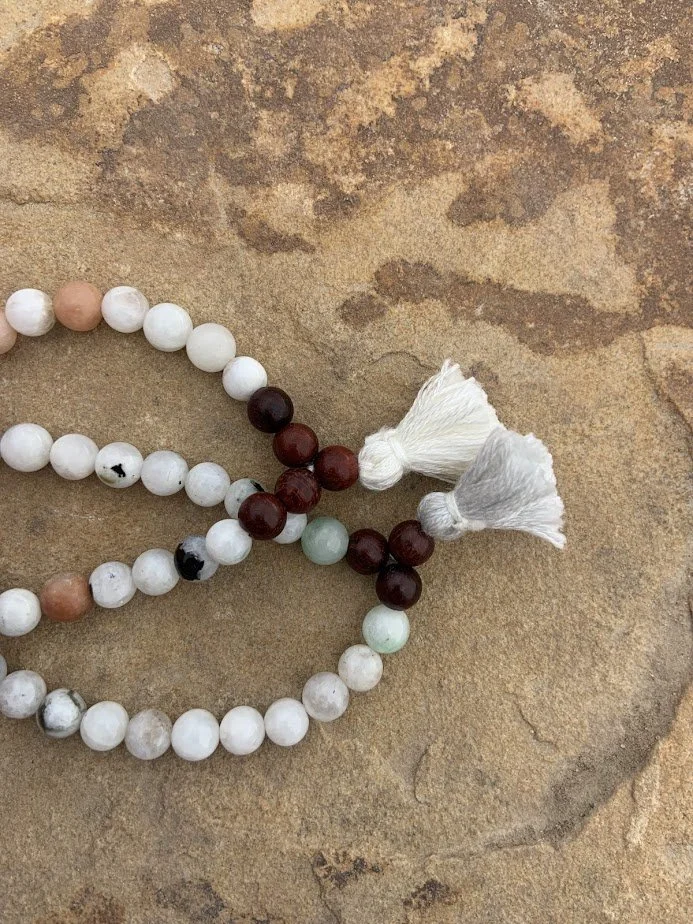 dalmation jasper 2.jpg